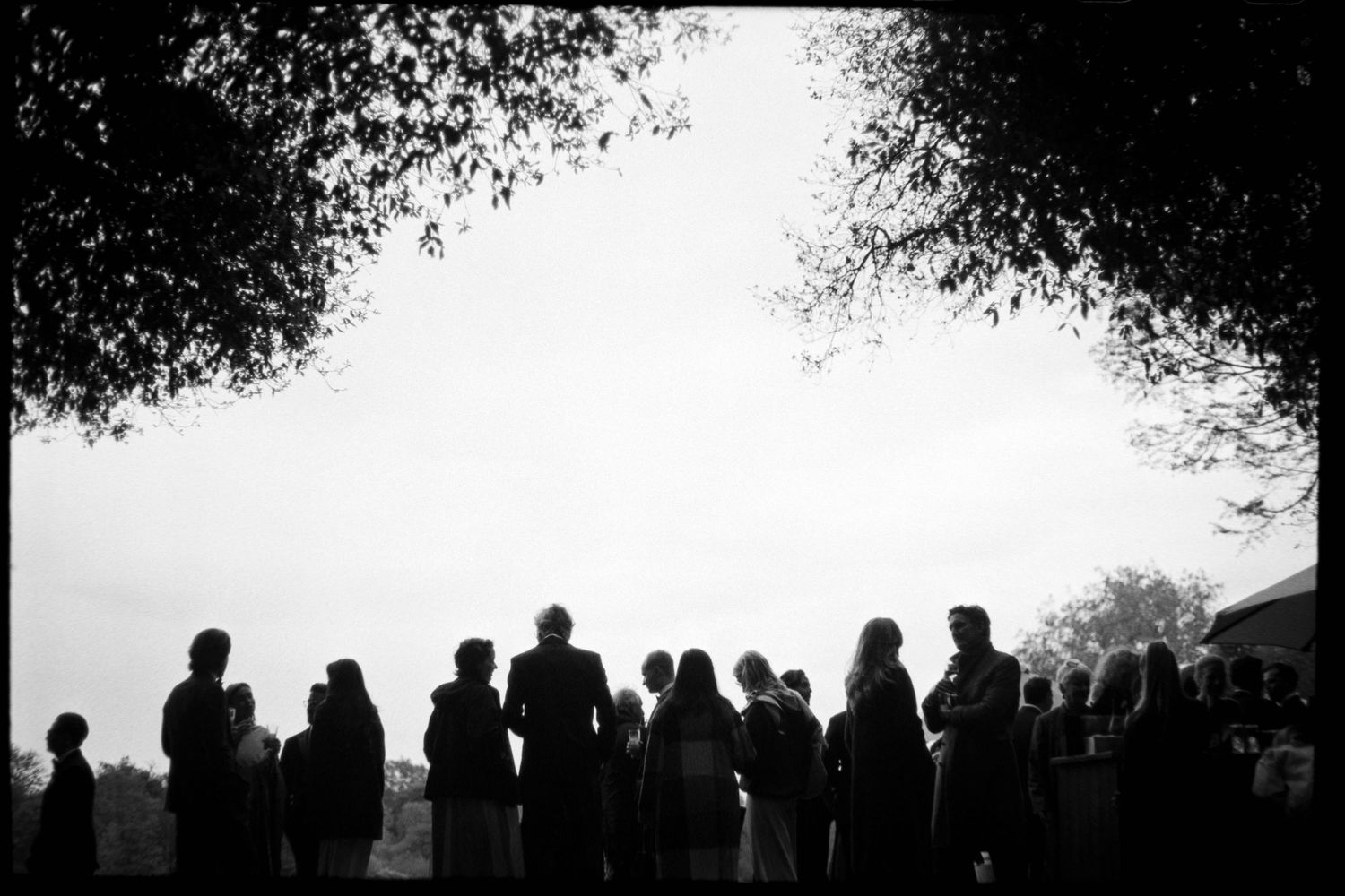 Silhouettes of wedding guests gathered outdoors beneath tree branches against a bright sky in a dramatic black and white photograph.