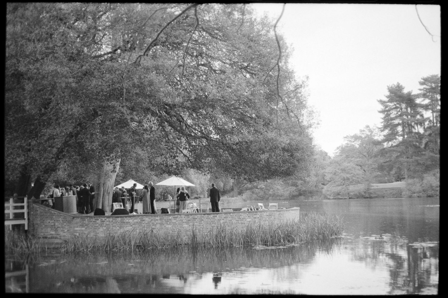Black and white image of wedding guests gathered under white parasols on a grassy lakeside bank beneath large trees.