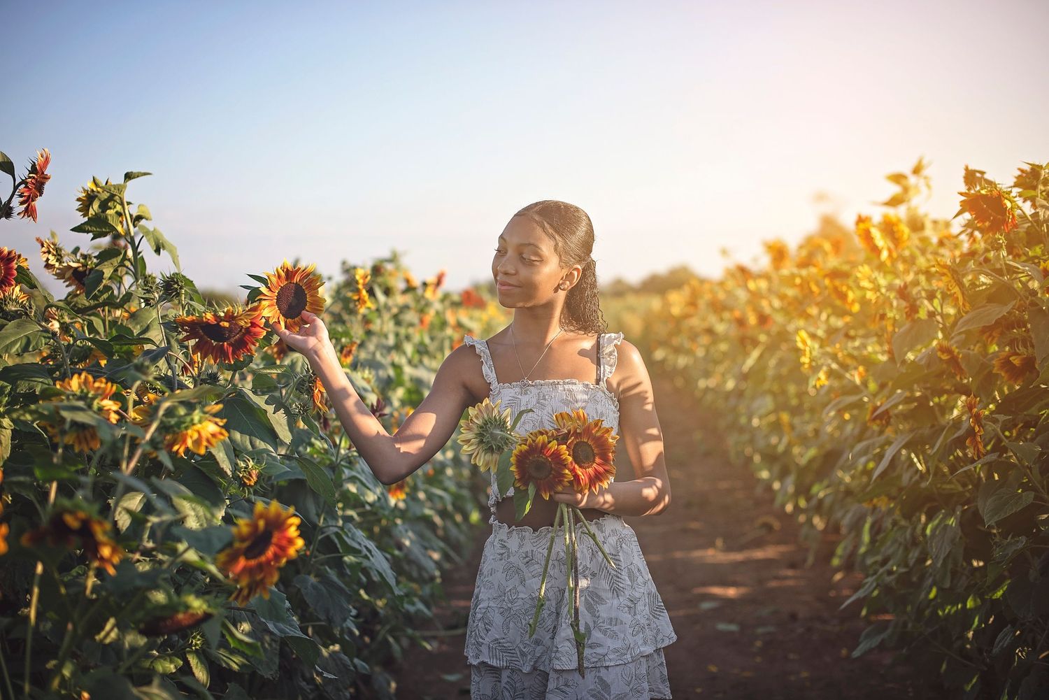 White dress among vibrant sunflowers during sunset in flower garden.