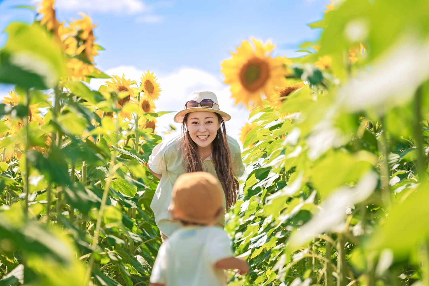People walking through a bright sunflower field on a sunny summer day while taking photos and enjoying nature.