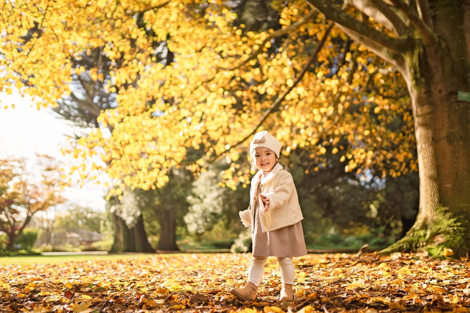 A small child plays in a park surrounded by golden autumn leaves and sunlit trees on a beautiful fall day.