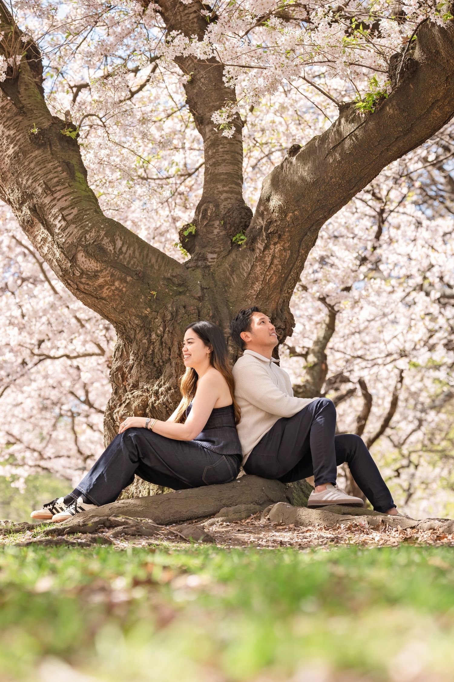 Couple sitting back-to-back under a blooming cherry blossom tree in spring, surrounded by pink flowers.