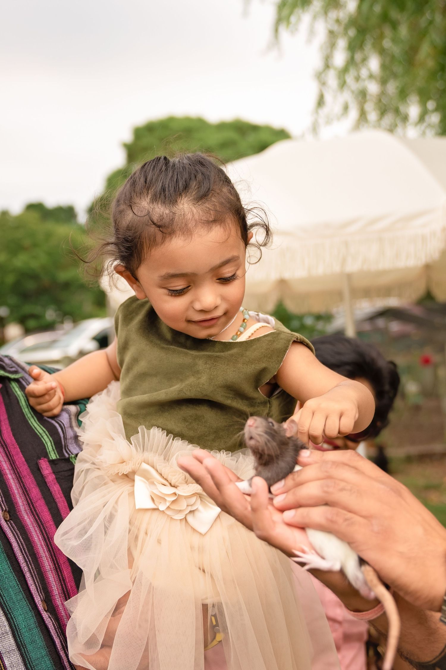 Child in olive top and tulle skirt gently pets a small gray kitten outdoors near a tent.