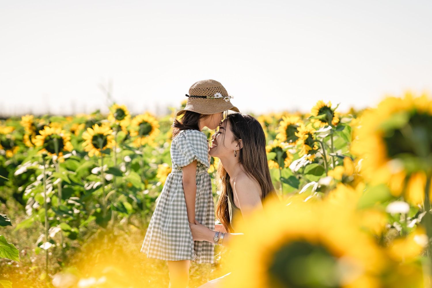 Romantic couple embracing in a blooming yellow sunflower field during golden hour.