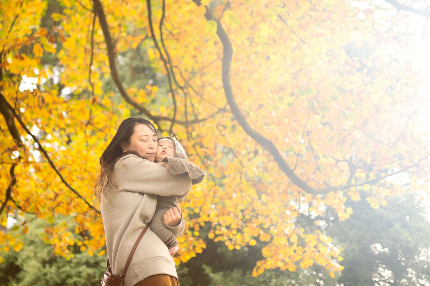 A parent holds a small child while standing beneath vibrant yellow fall foliage on a sunny day.