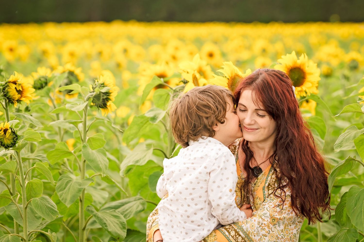 A child kissing a smiling woman in a vibrant sunflower field on a sunny day.