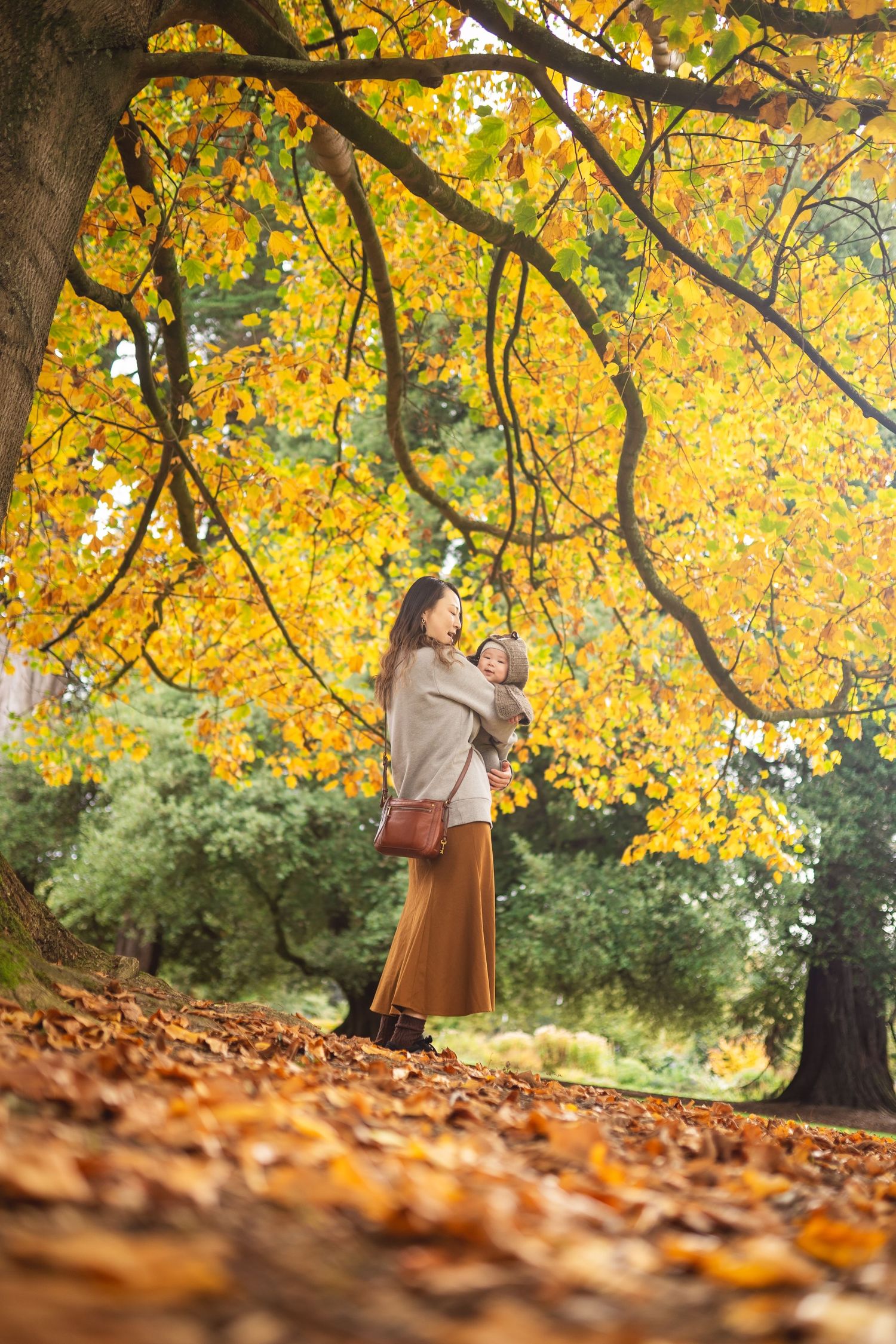 A scenic autumn scene with golden leaves overhead and fallen leaves scattered on the ground beneath a large tree.