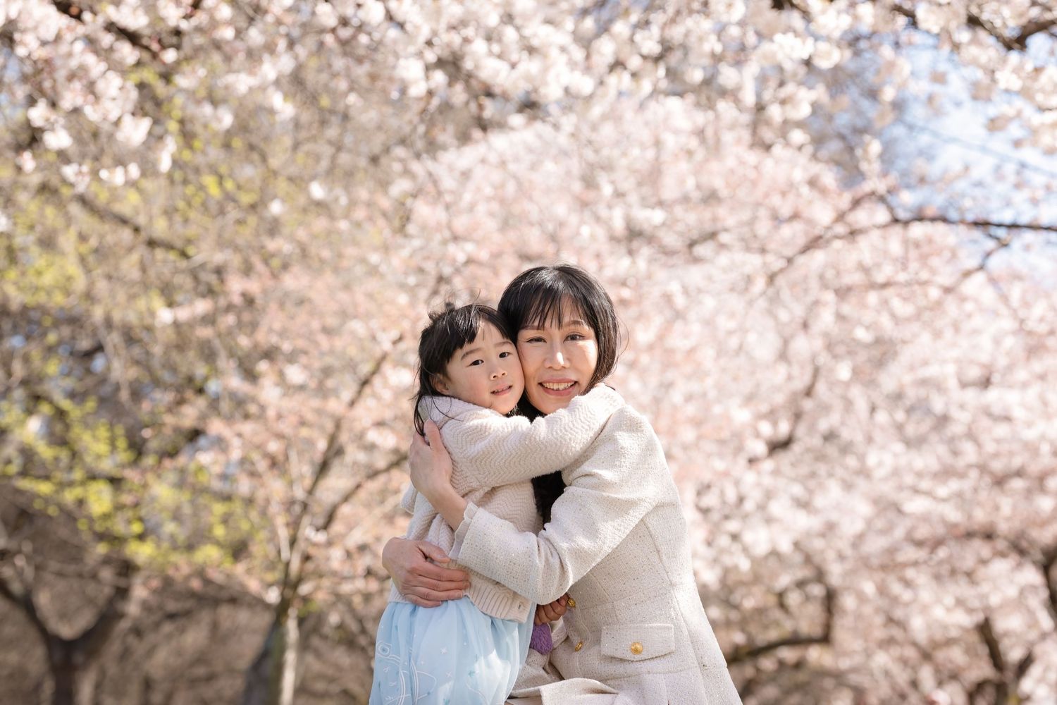 Two people embrace under blooming cherry blossom trees in a romantic spring setting.
