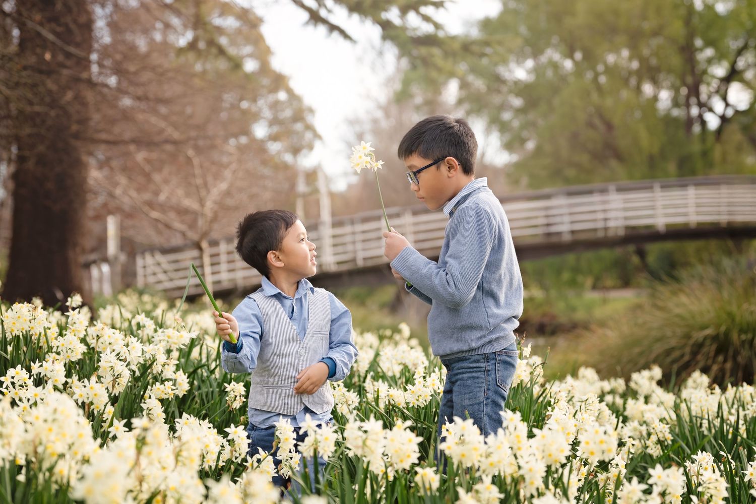 Two boys playing with white daffodils in a blooming spring garden near a wooden bridge.