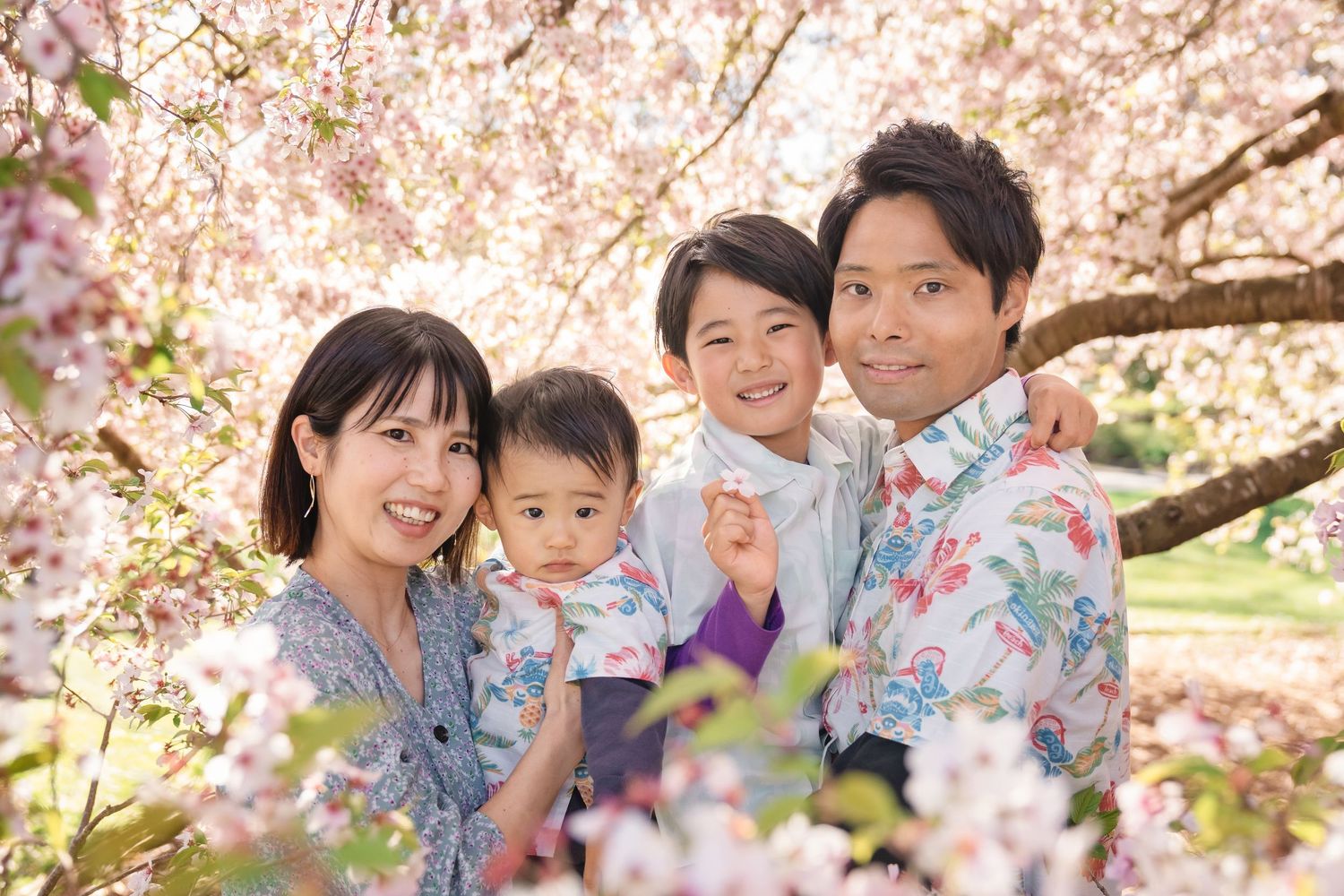 Family enjoying a spring day under blooming cherry blossom trees in a park.