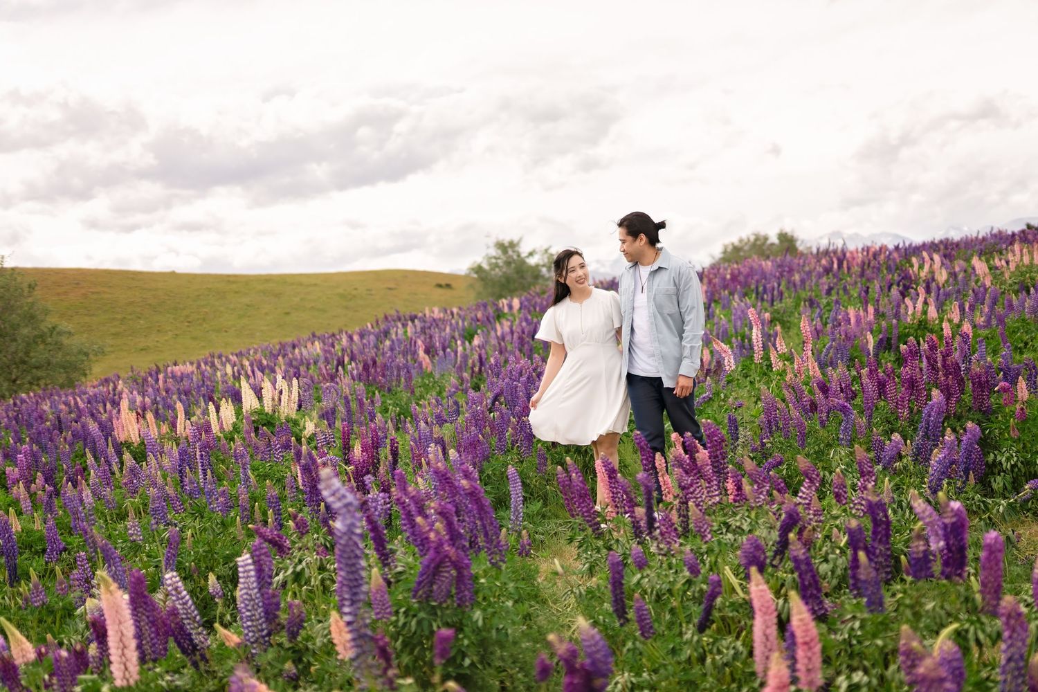 Couple holding hands walking through a vibrant purple and pink lupine flower field under a cloudy sky.