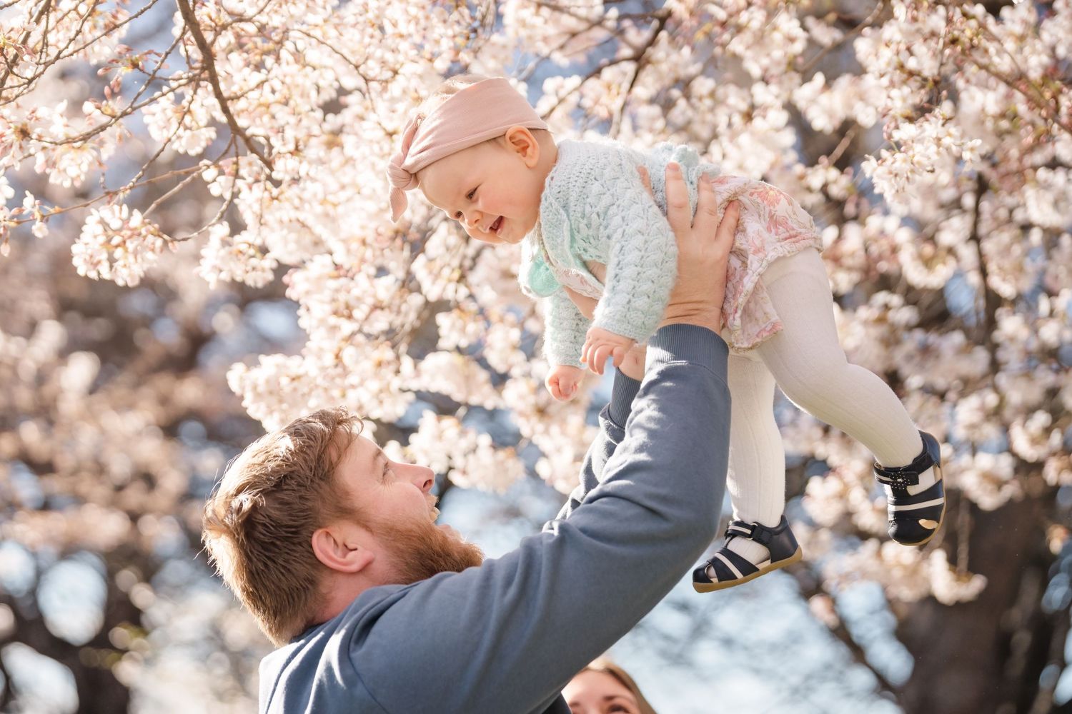 A person holds up their baby among blooming cherry blossom trees during springtime.