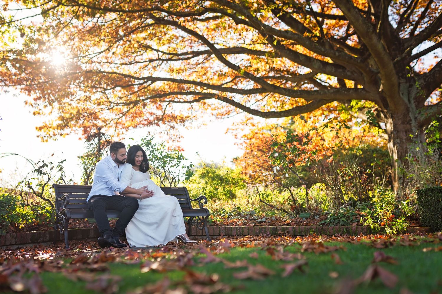 Golden autumn sunlight streams through colorful fall foliage in a tranquil park setting during sunset.