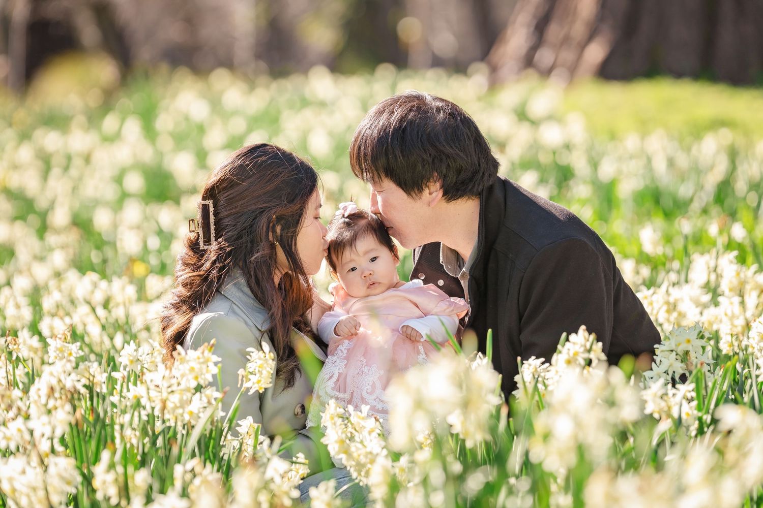 Family with baby sitting in blooming daffodil field, parents lovingly kissing infant in sunny spring garden.