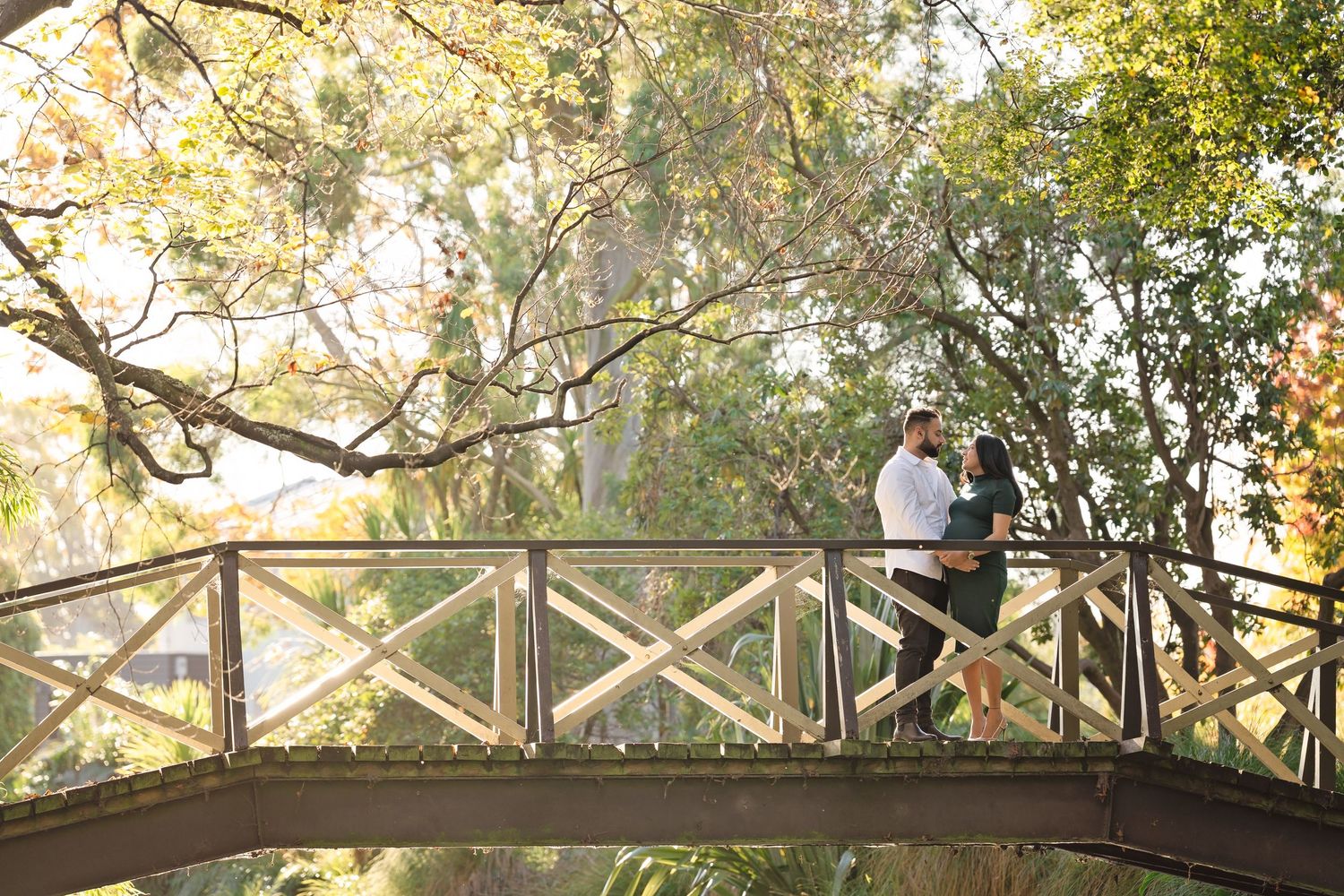 A scenic curved wooden boardwalk path winds through lush green trees in a tranquil nature setting.
