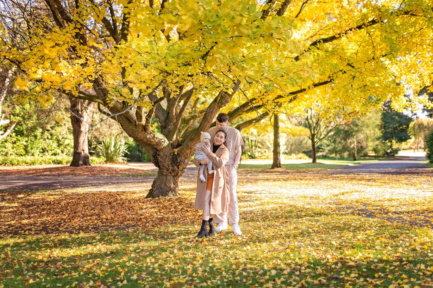 A golden retriever dog plays joyfully in a park surrounded by vibrant yellow autumn leaves on the ground.