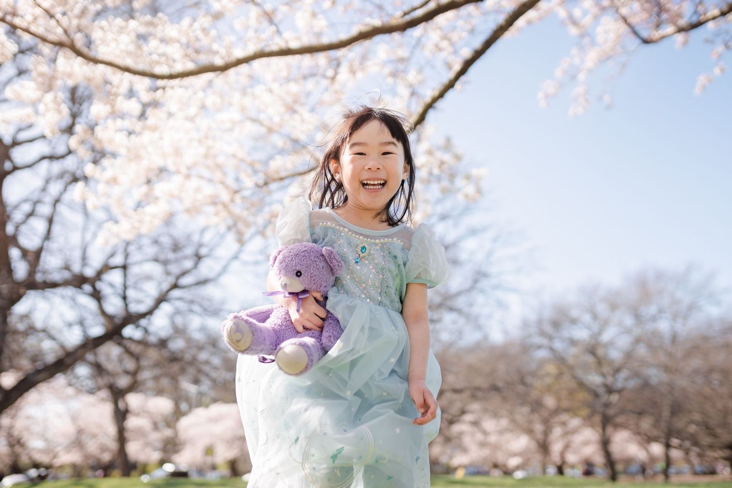 A joyful springtime scene with someone jumping under blooming cherry blossom trees in a park.