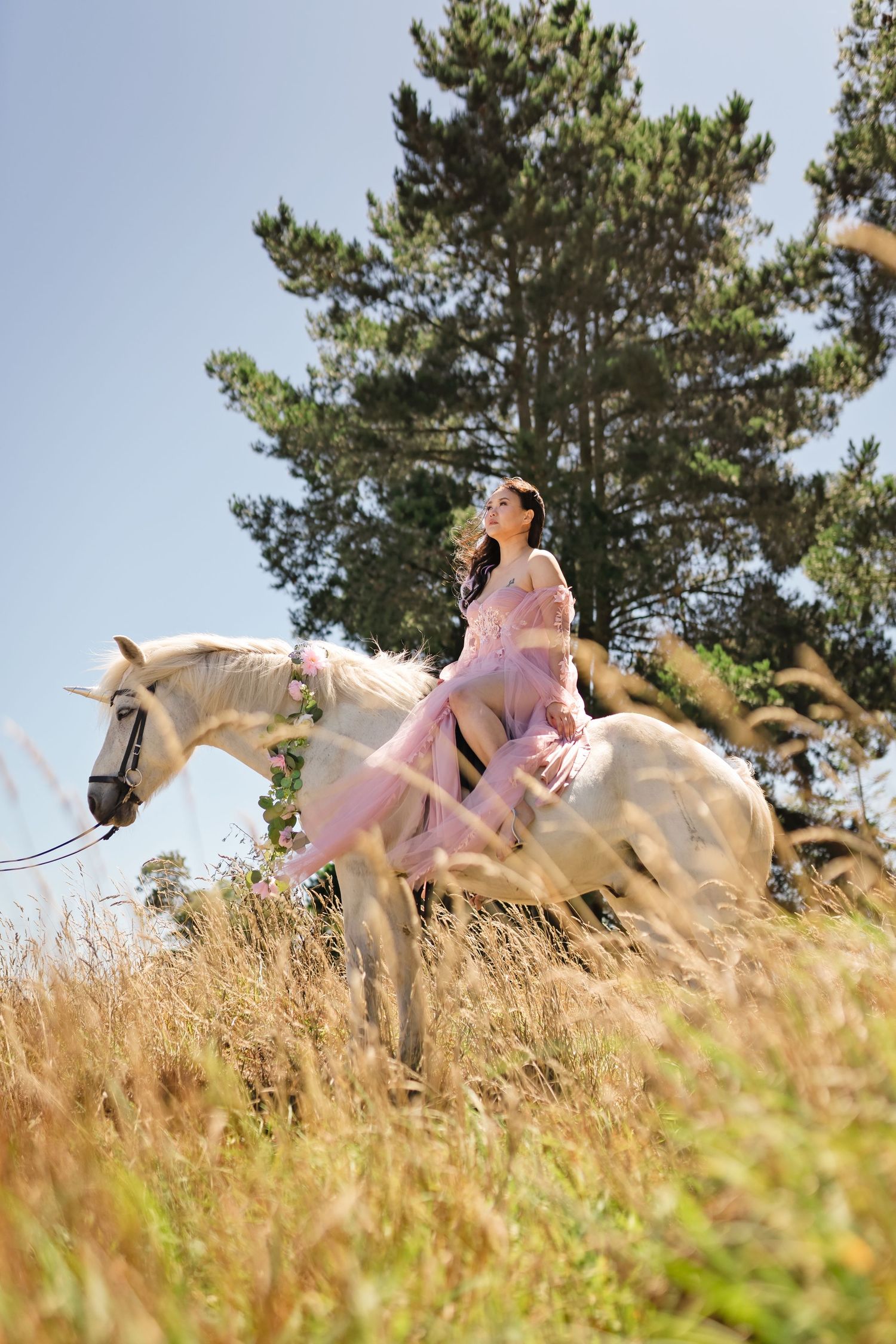 Woman in pink dress riding white horse through golden meadow with pine trees.