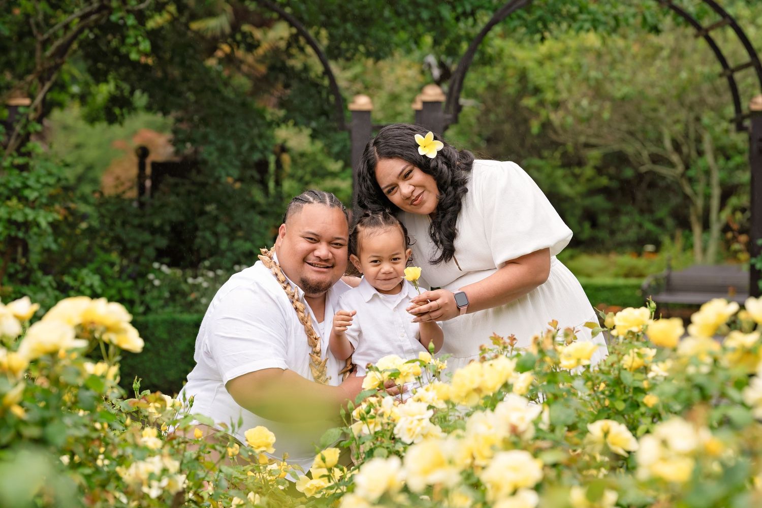 Family of three posing among yellow roses in a lush garden, parents in white outfits holding a baby with a flower in her hair.