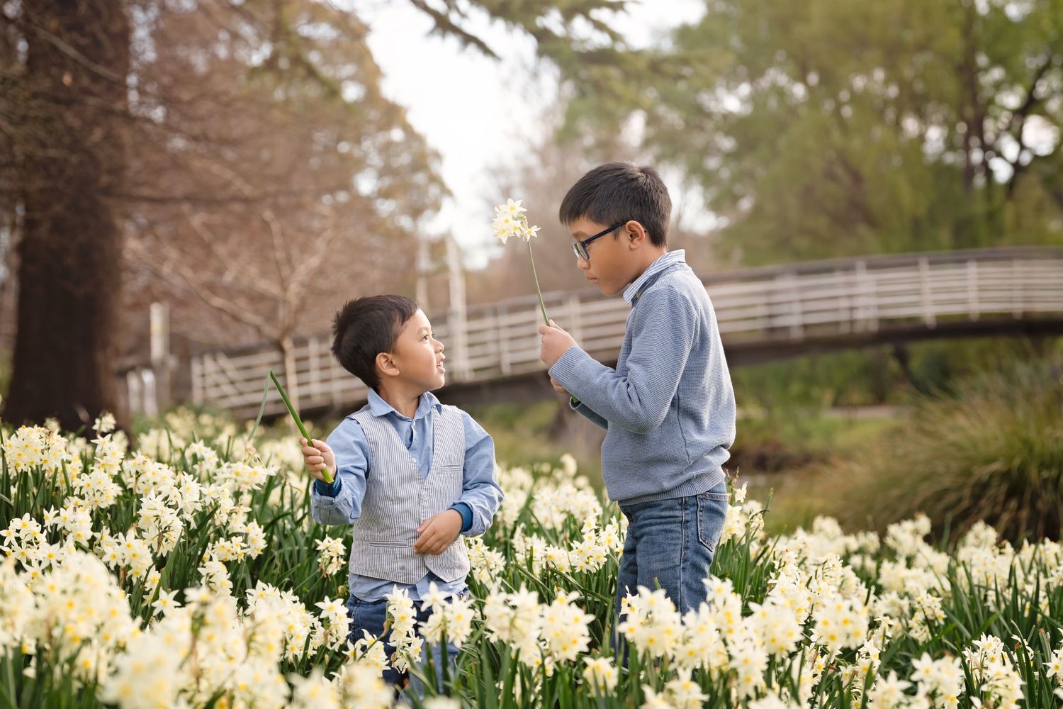 Two young boys playing with dandelions in a field of white daffodils outdoors.