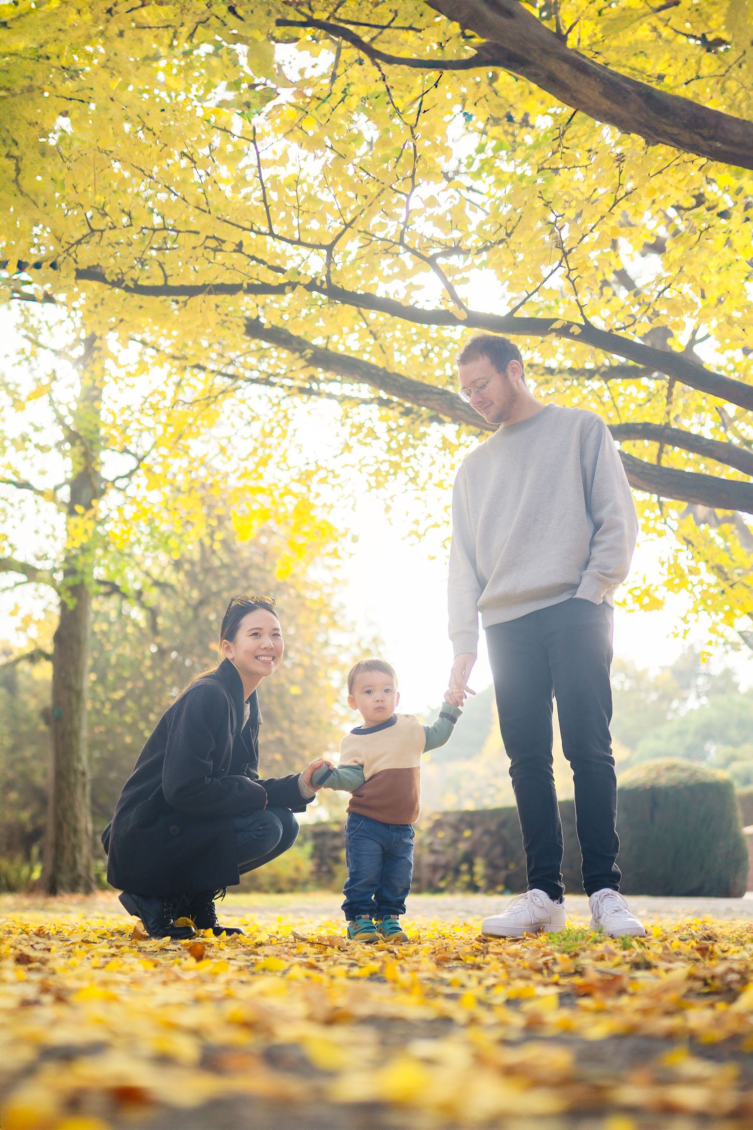 Autumn scene of people enjoying fallen yellow leaves under bright trees in a park on a sunny day.
