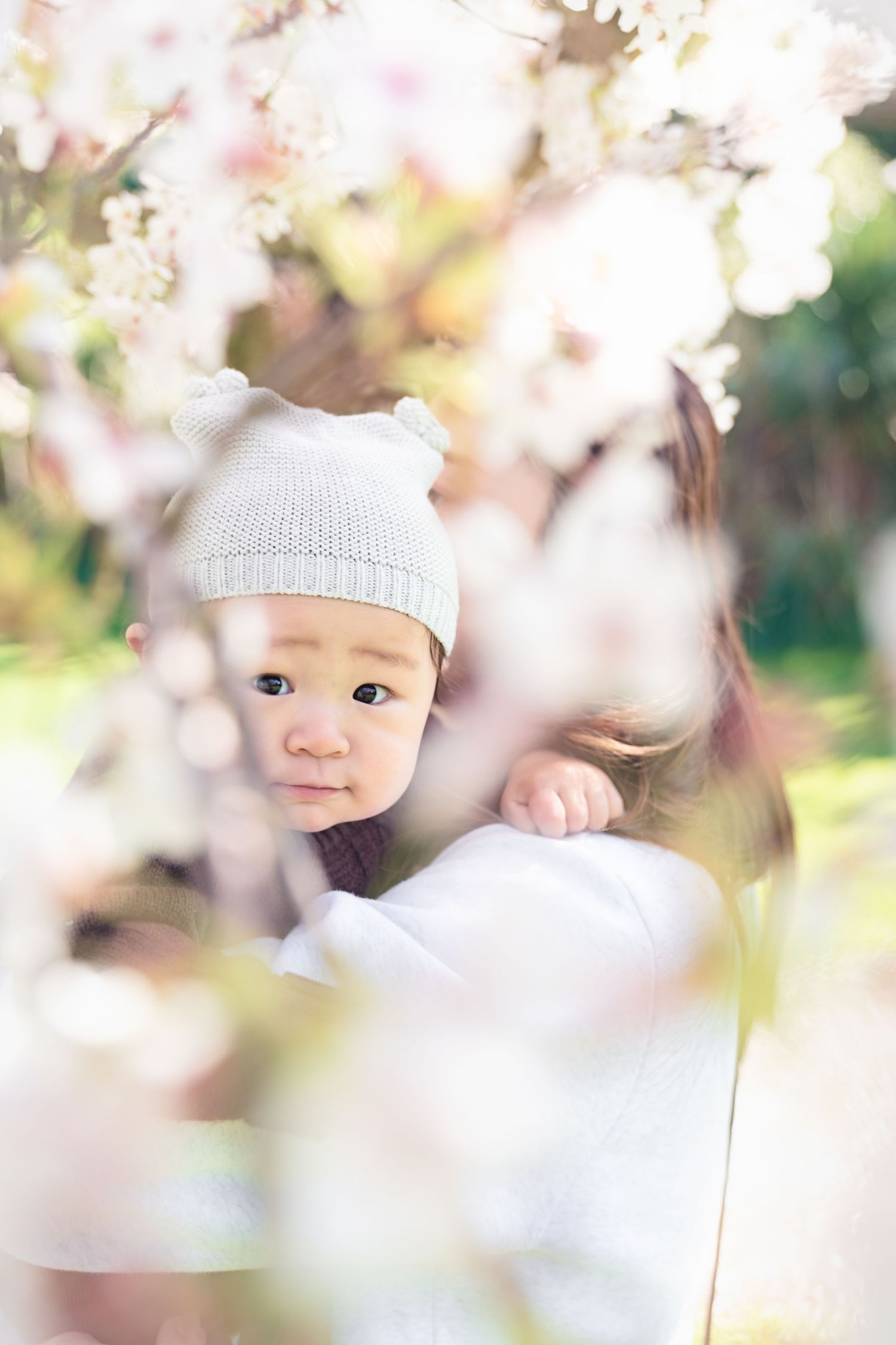 Baby in white knit cap peers through delicate cherry blossom branches in soft focus.