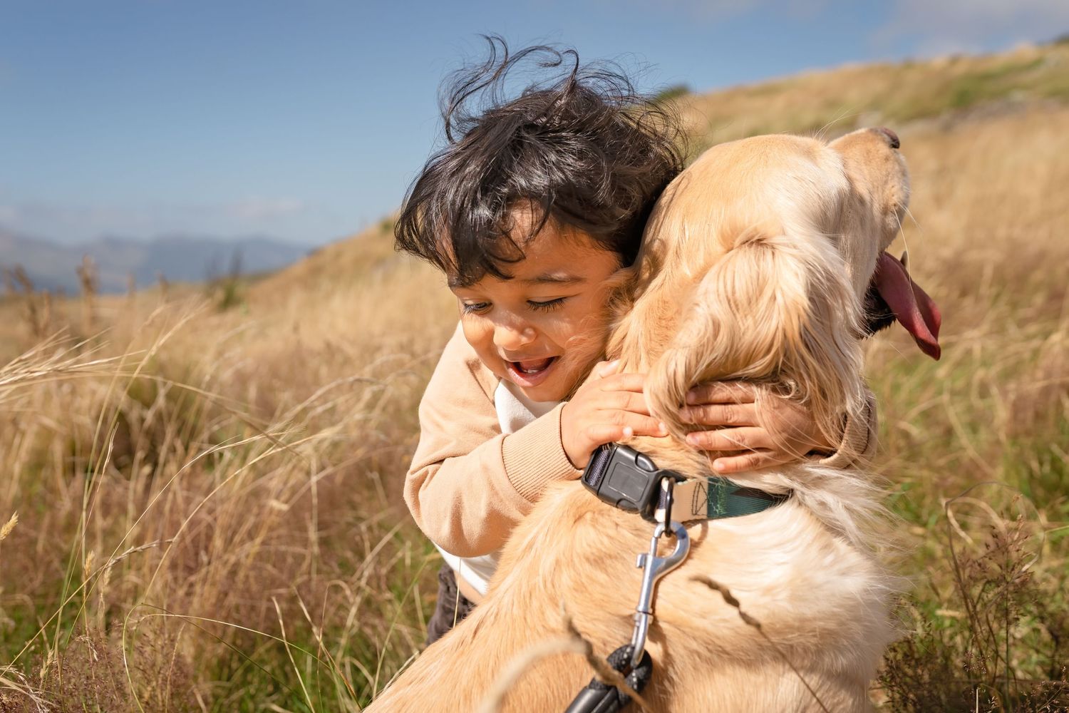 Young child joyfully hugging a golden retriever dog in a sunny grassy field.