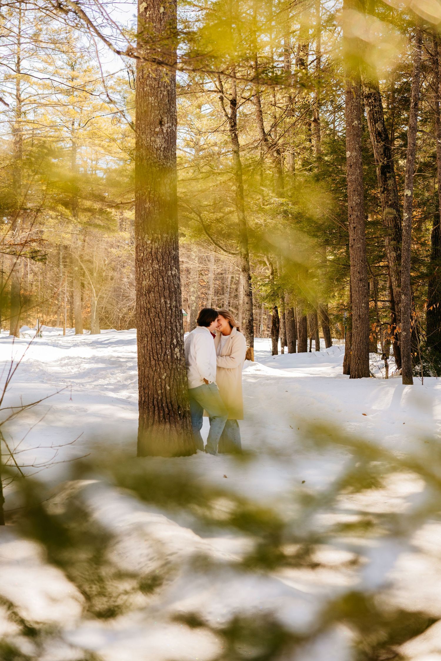 Couple sharing a romantic moment leaning against a pine tree in a snowy winter forest with golden sunlight.