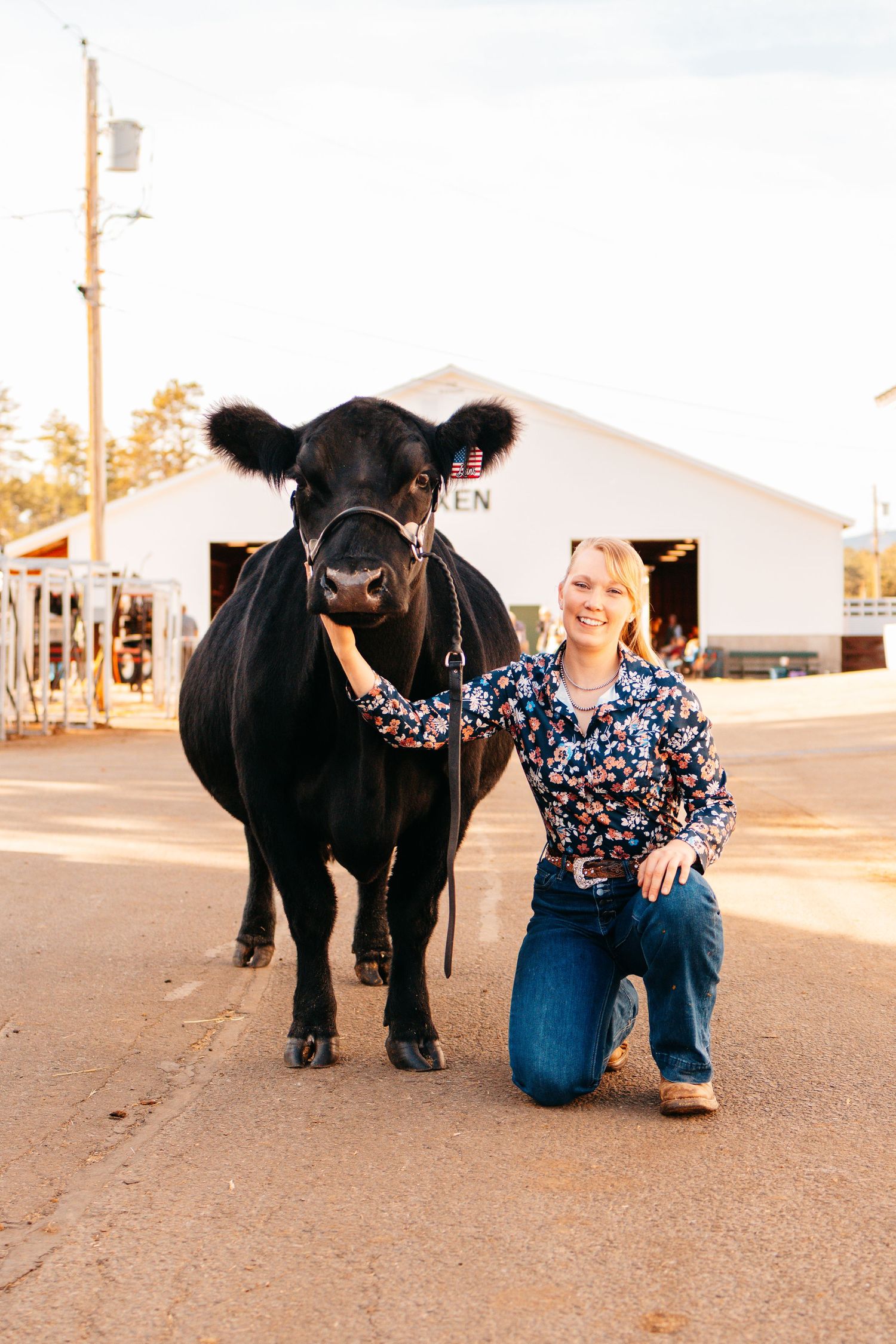 A black calf stands next to someone kneeling on pavement during an outdoor photoshoot.