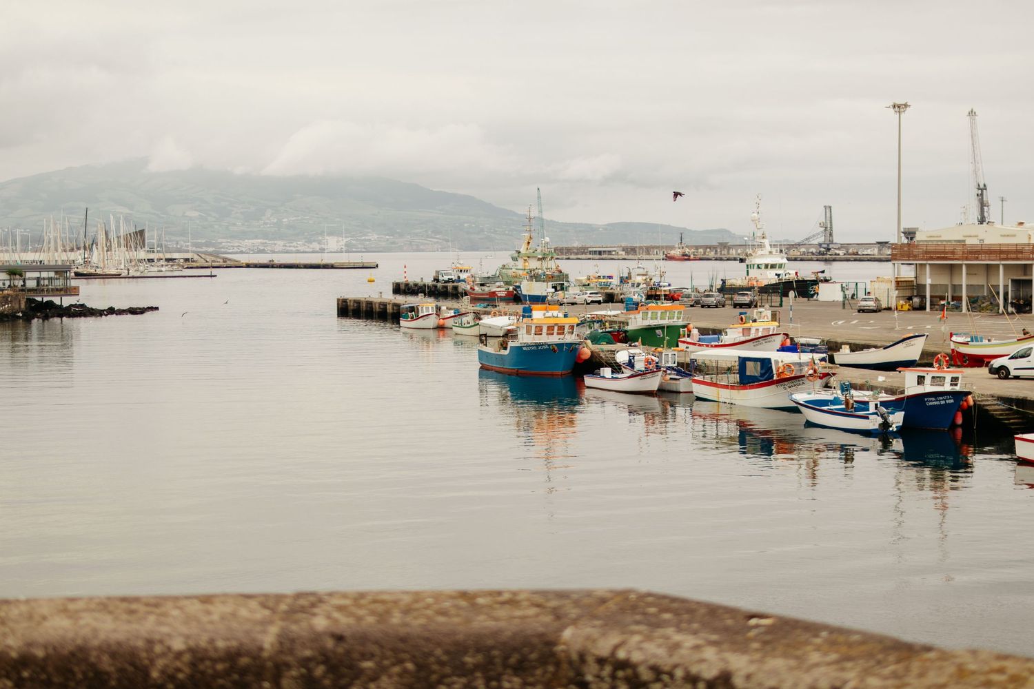 Panoramic view of a coastal marina with boats docked along wooden piers on a cloudy overcast day.