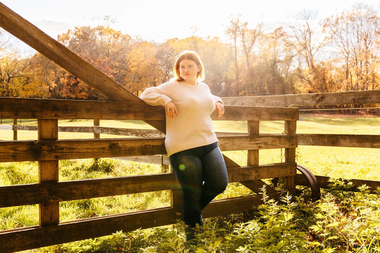 A wooden fence stretches across a sunlit meadow with golden light filtering through trees in the background.