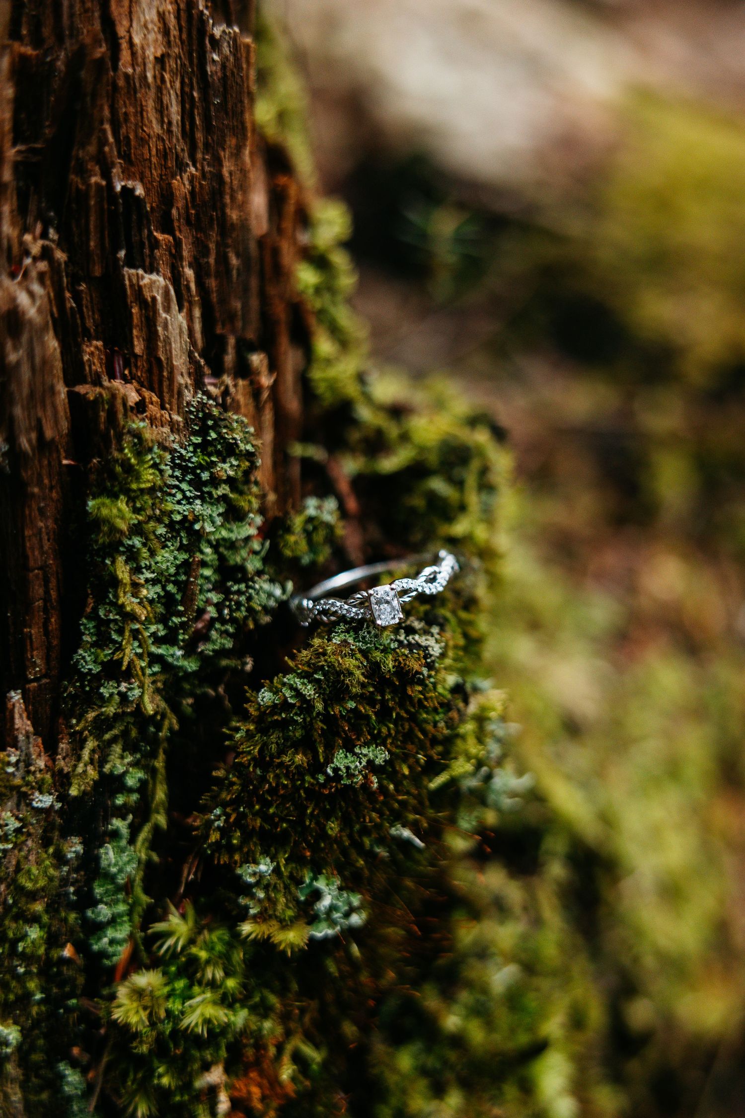 Silver diamond engagement ring resting on moss-covered tree bark in a forest setting.