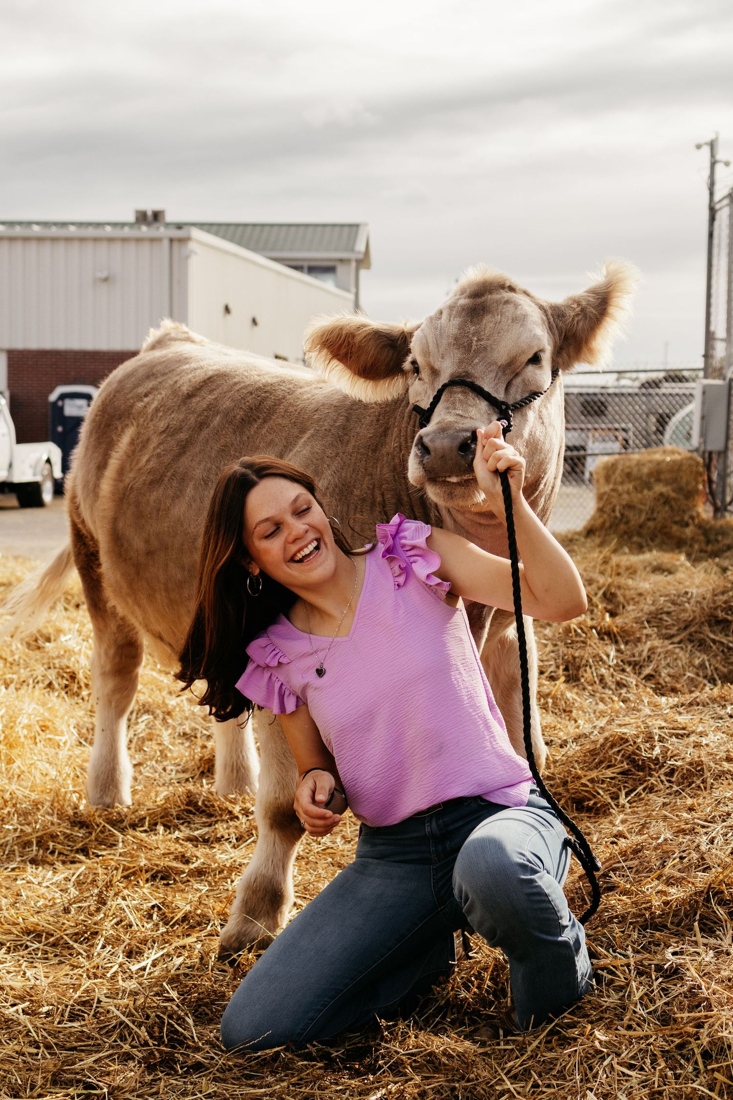 Person playing with friendly alpaca in hay barn while wearing purple shirt.