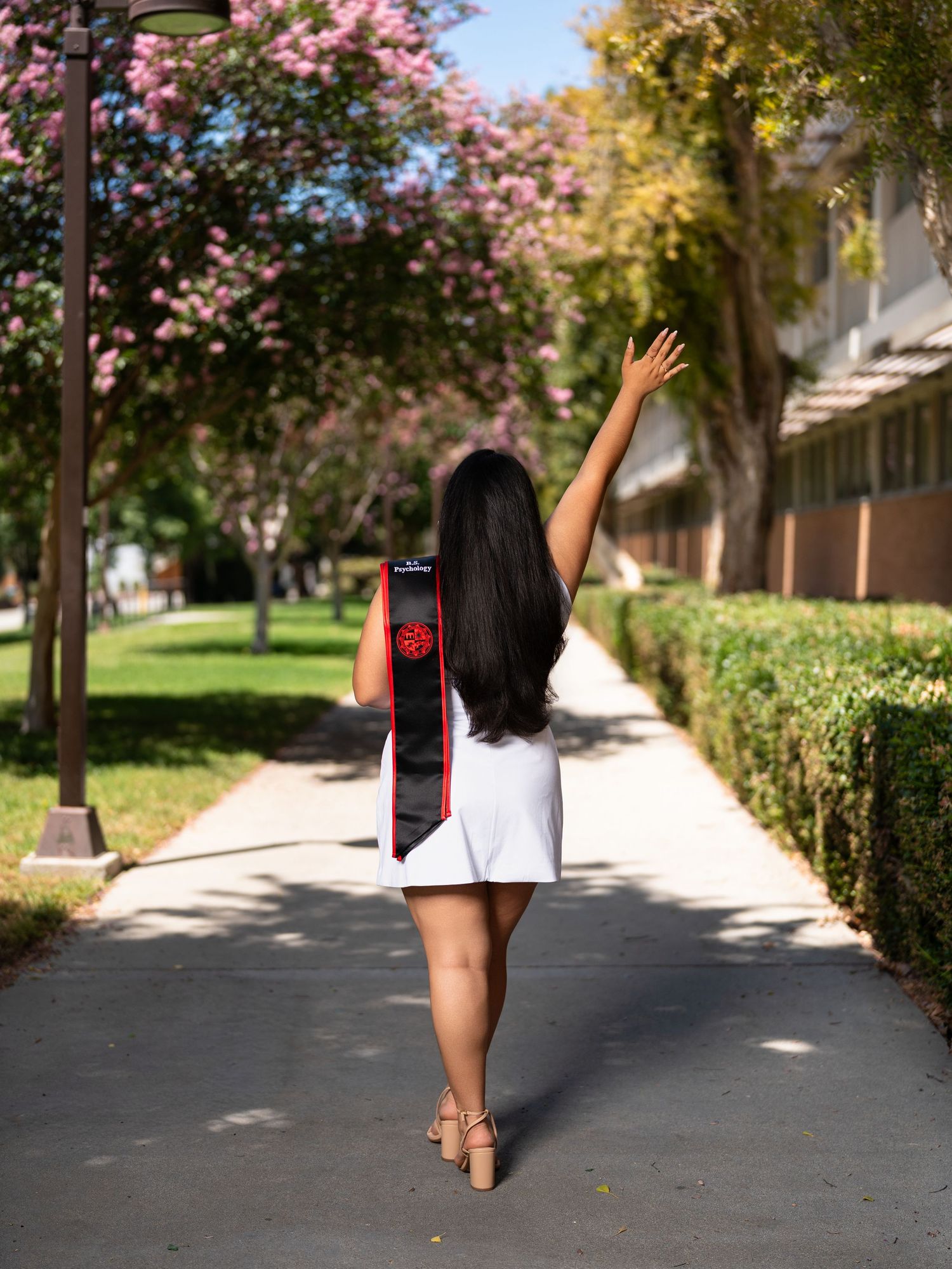 Graduate in white dress with sash raises hand on sunny campus walkway lined with blooming pink trees.