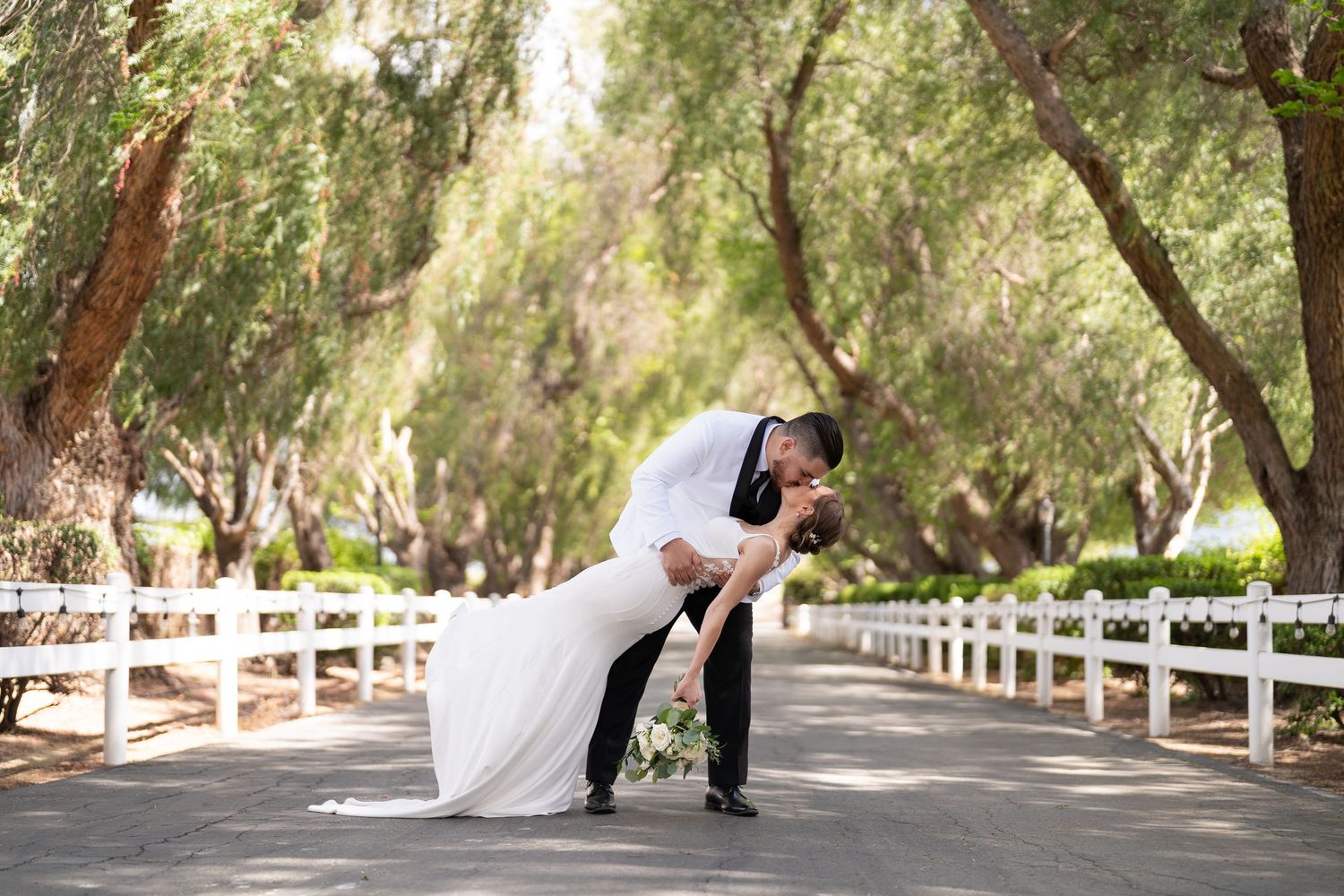 Tree-lined pathway with white fence rails creating perfect wedding photo backdrop.