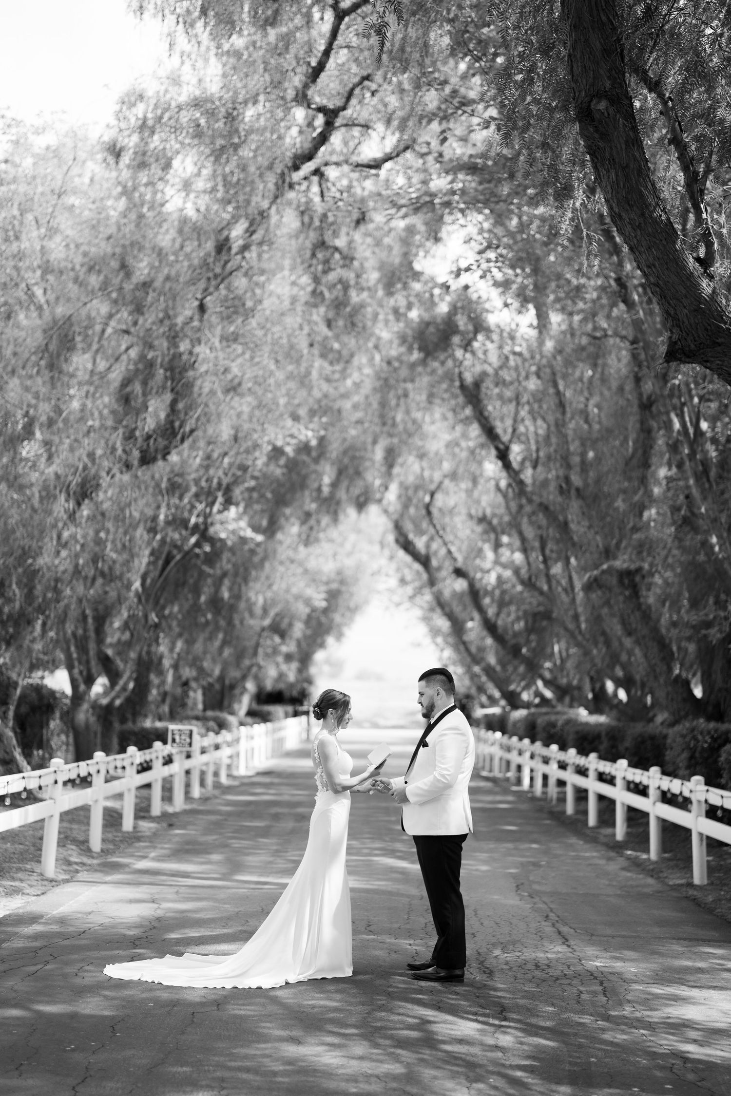 Black and white wedding photo on a tree-lined pathway with white fencing.