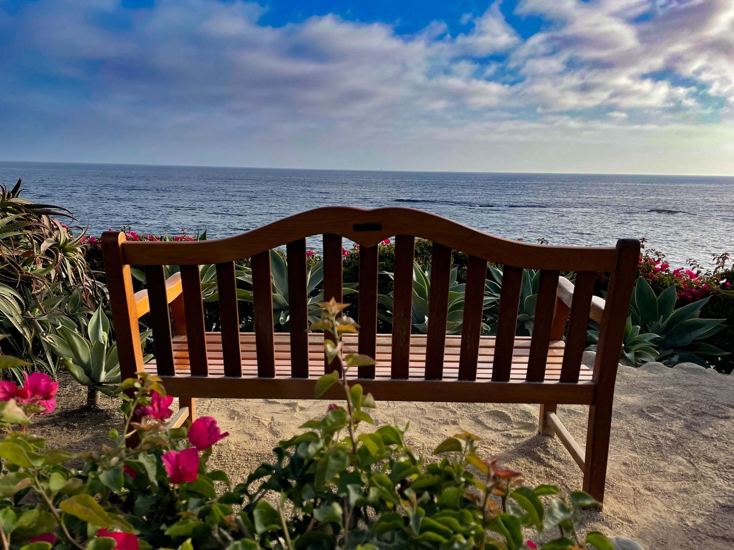 A peaceful bench overlooks Laguna Beach in California.
