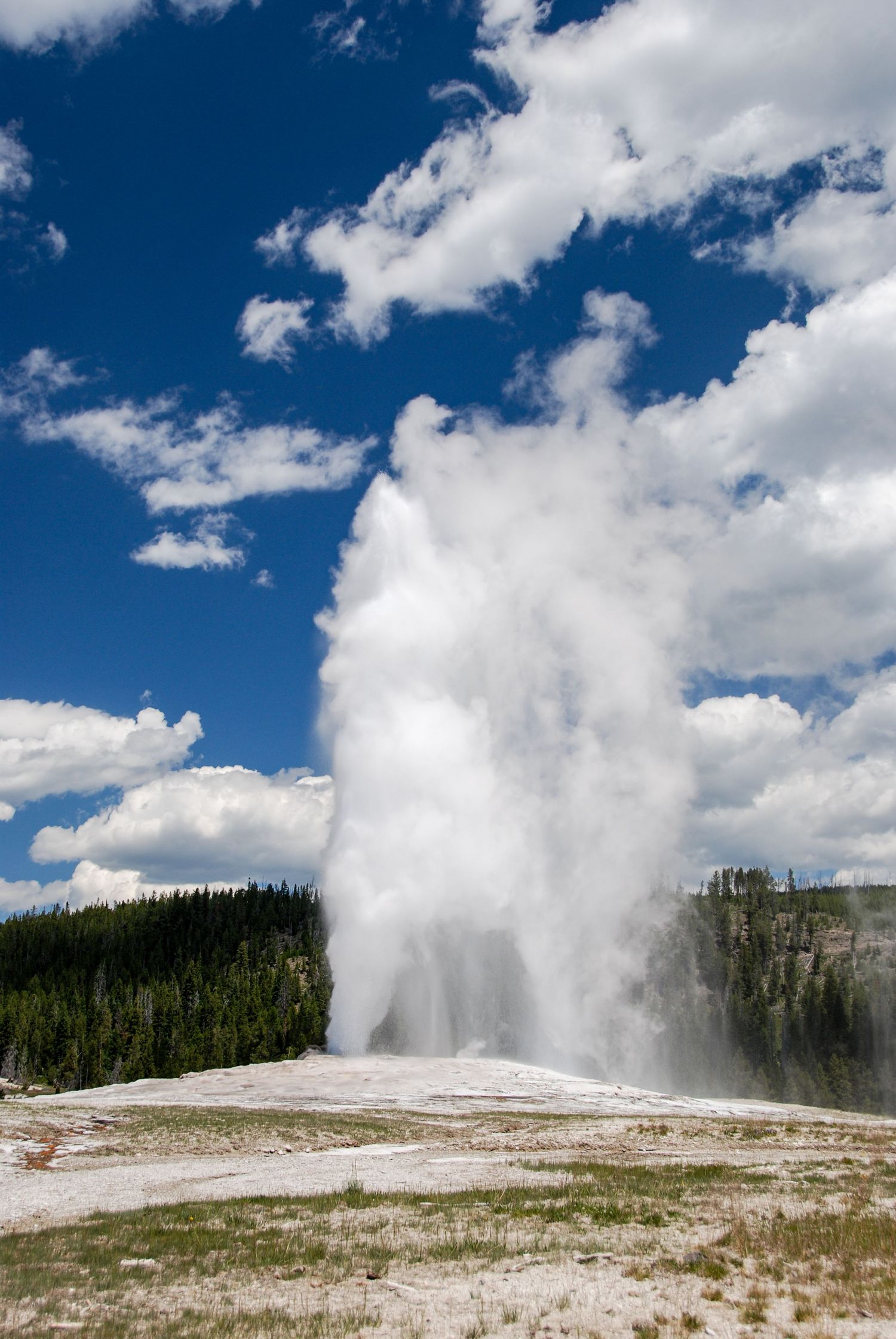 Old Faithful in Yellowstone National Park puts on a spectacular show.