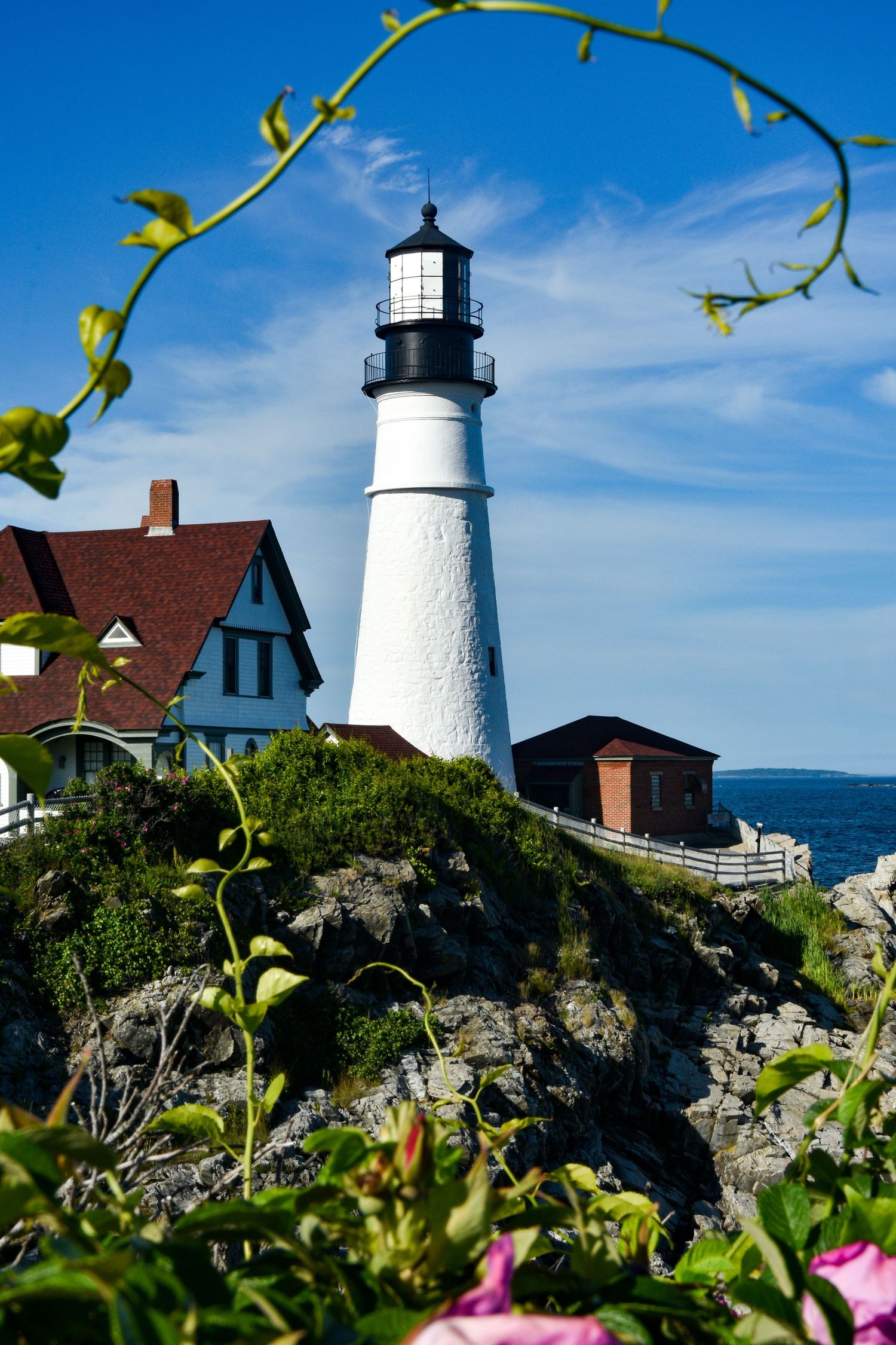 This is the Portland Head Lighthouse on Cape Elizabeth, Maine.  It is framed by beautiful pink roses.