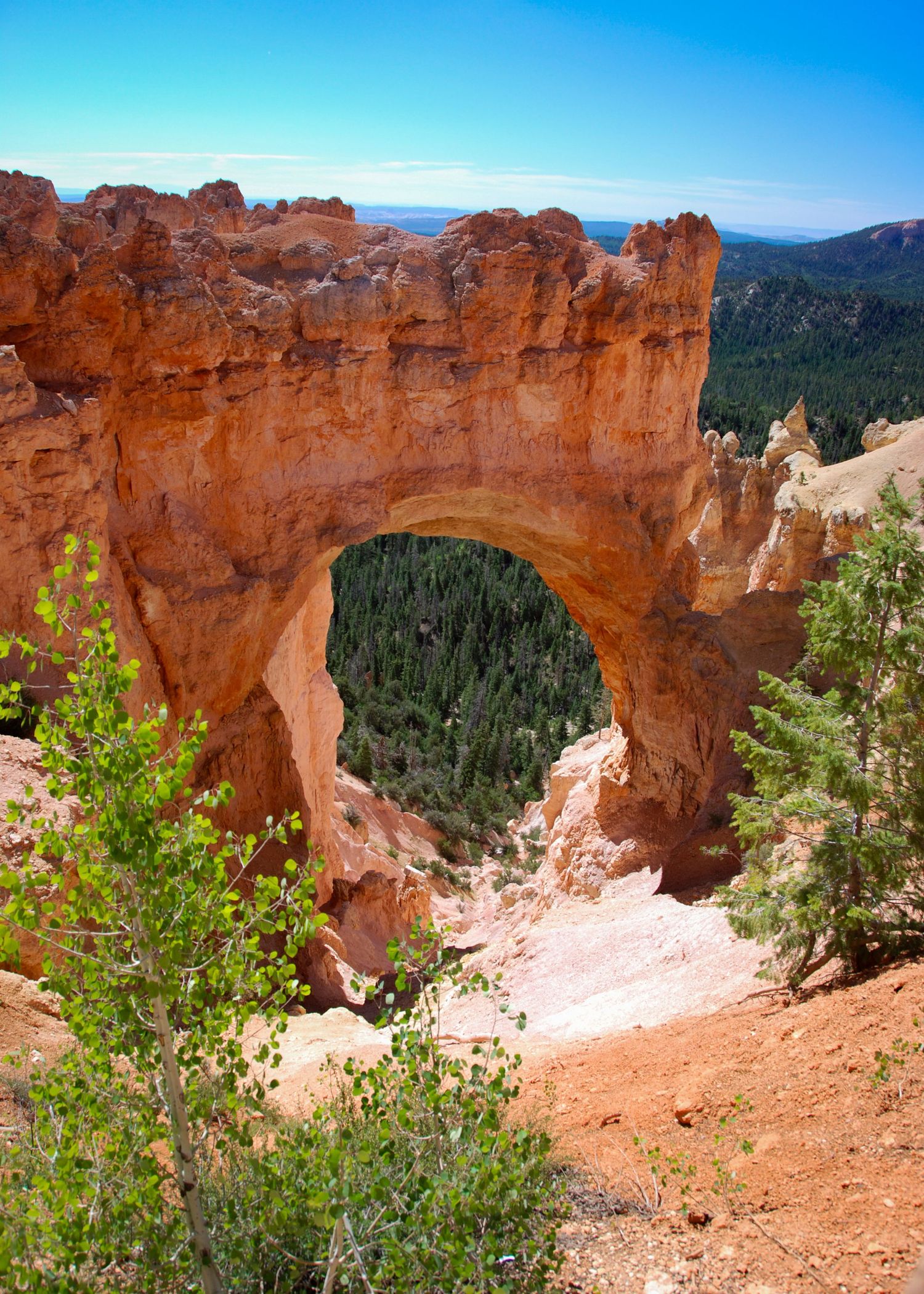 This image features the Natural Bridge in Bryce Canyon, Utah.
