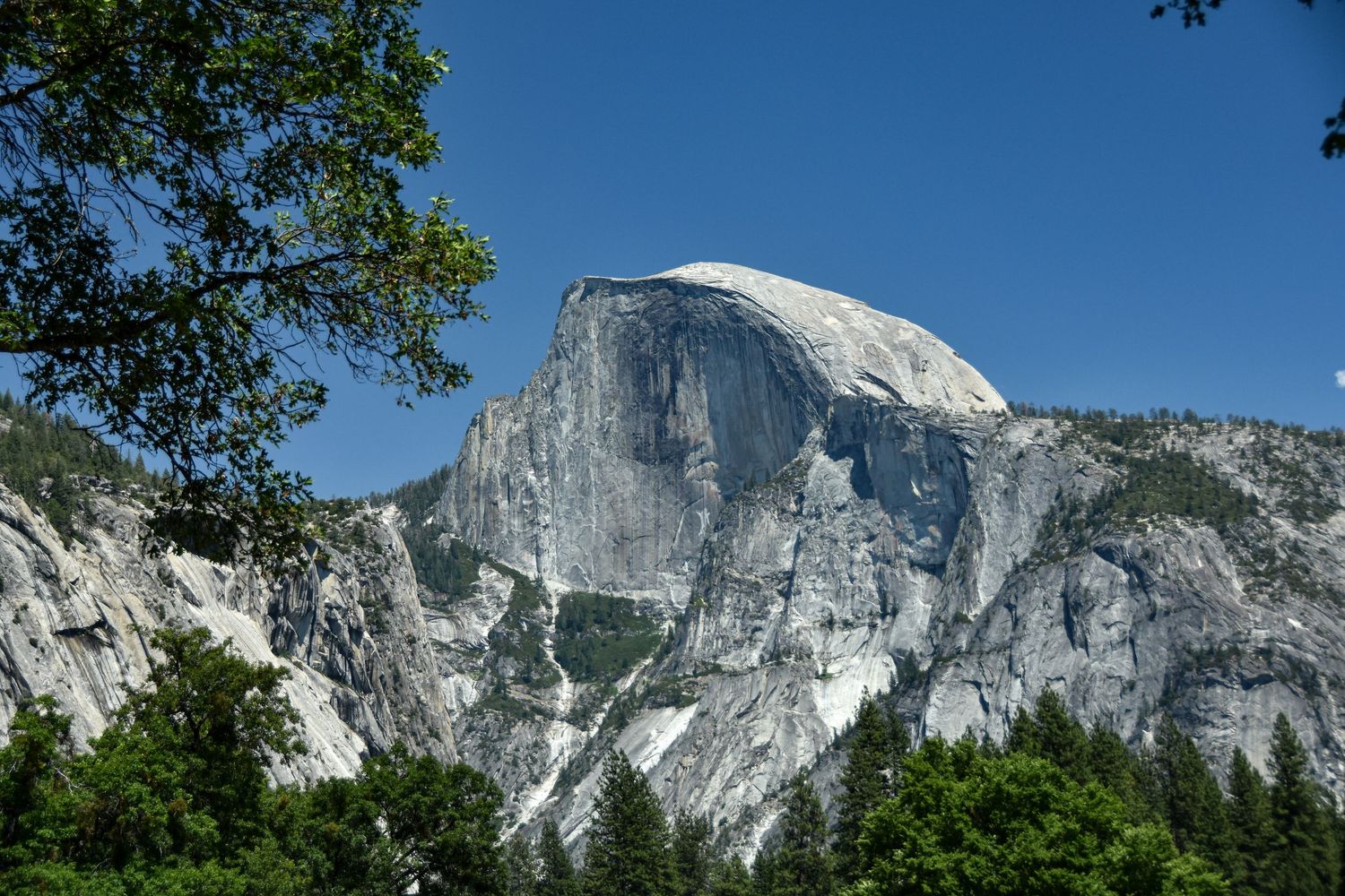 Half Dome in Yosemite National Park is an iconic feature that stands tall and proud.