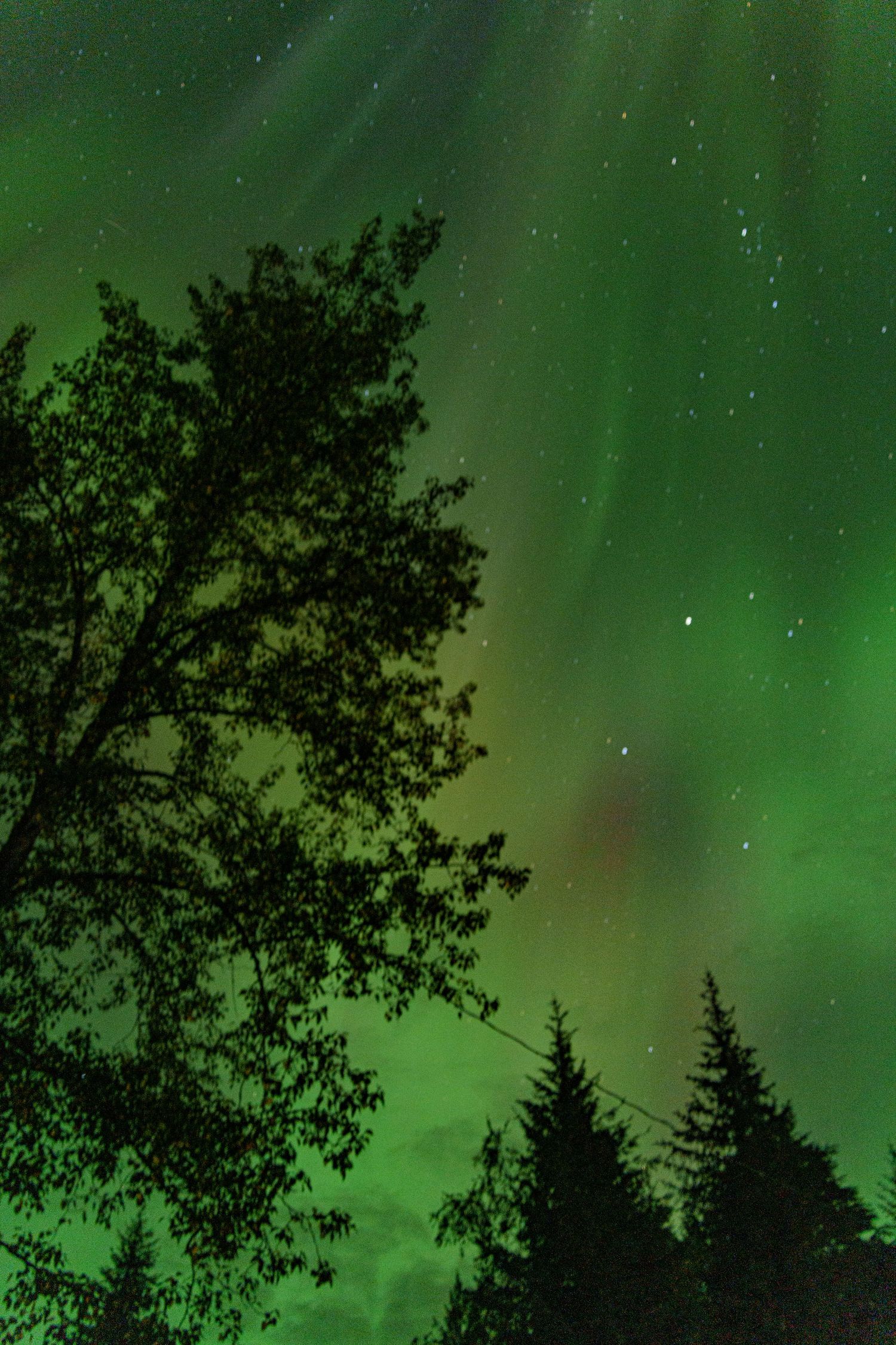 This is an image of the Northern Lights (Aurora Borealis) as seen near Anchorage, Alaska.