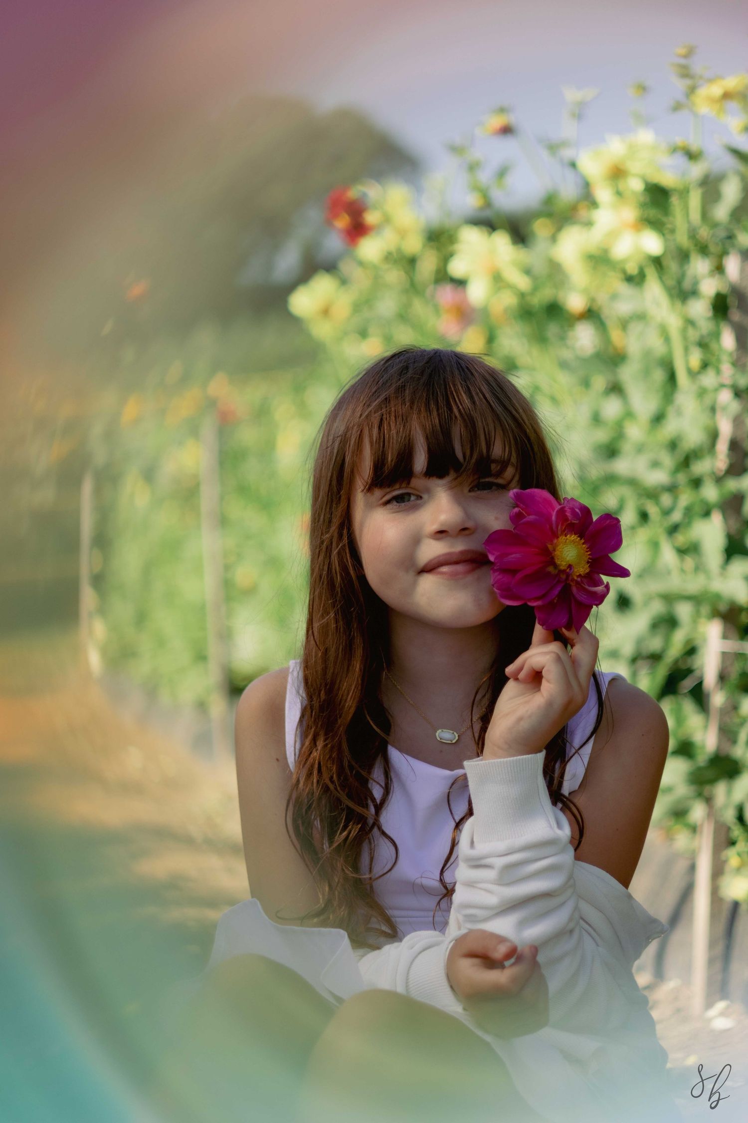 Andover children photographer capturing a natural outdoor portrait of a girl standing in a sunflower field with soft, golden light.