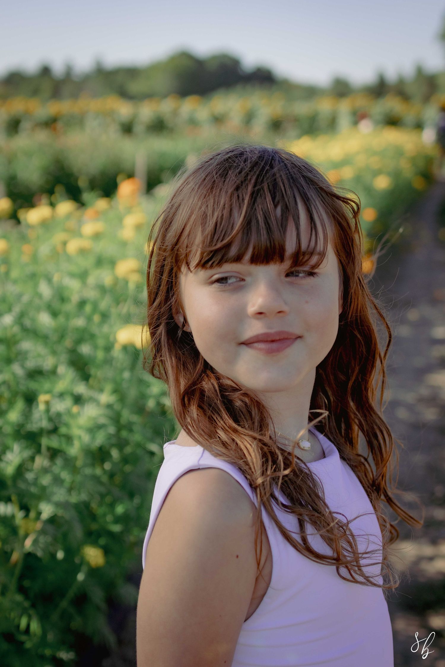 Andover children photographer capturing a natural outdoor portrait of a girl standing in a sunflower field with soft, golden light.