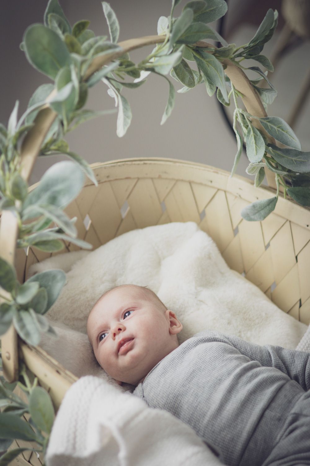 Newborn baby lying in a woven bassinet with soft natural light, surrounded by greenery and a gentle arch of velvety leaves.