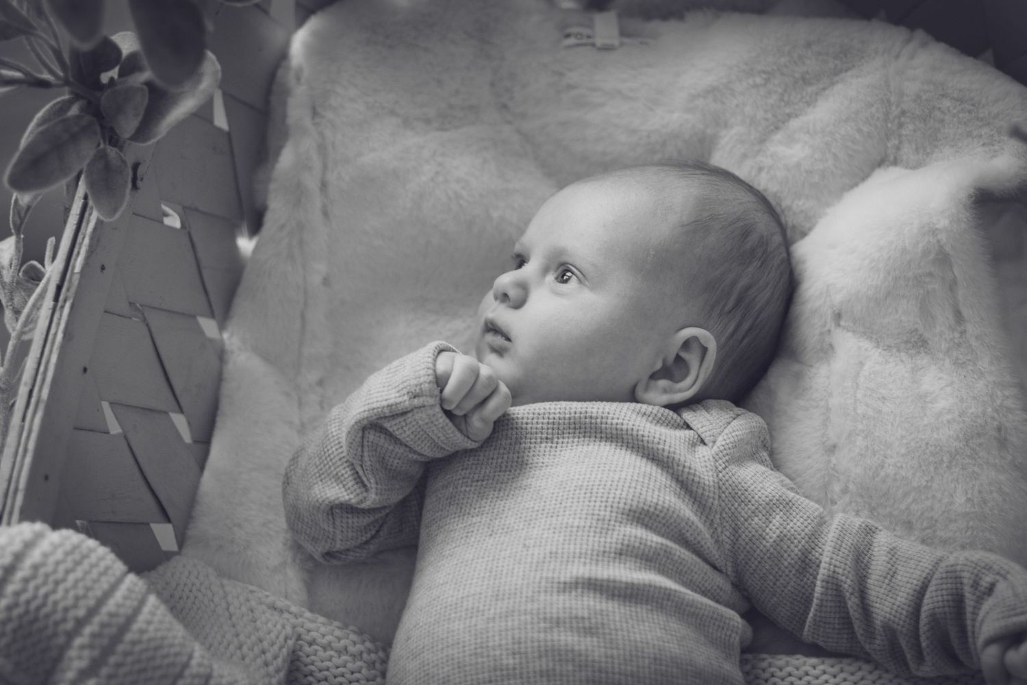 Andover newborn photographer capturing a black‑and‑white portrait of a baby lying in a woven basket on soft textures during a cozy lifestyle