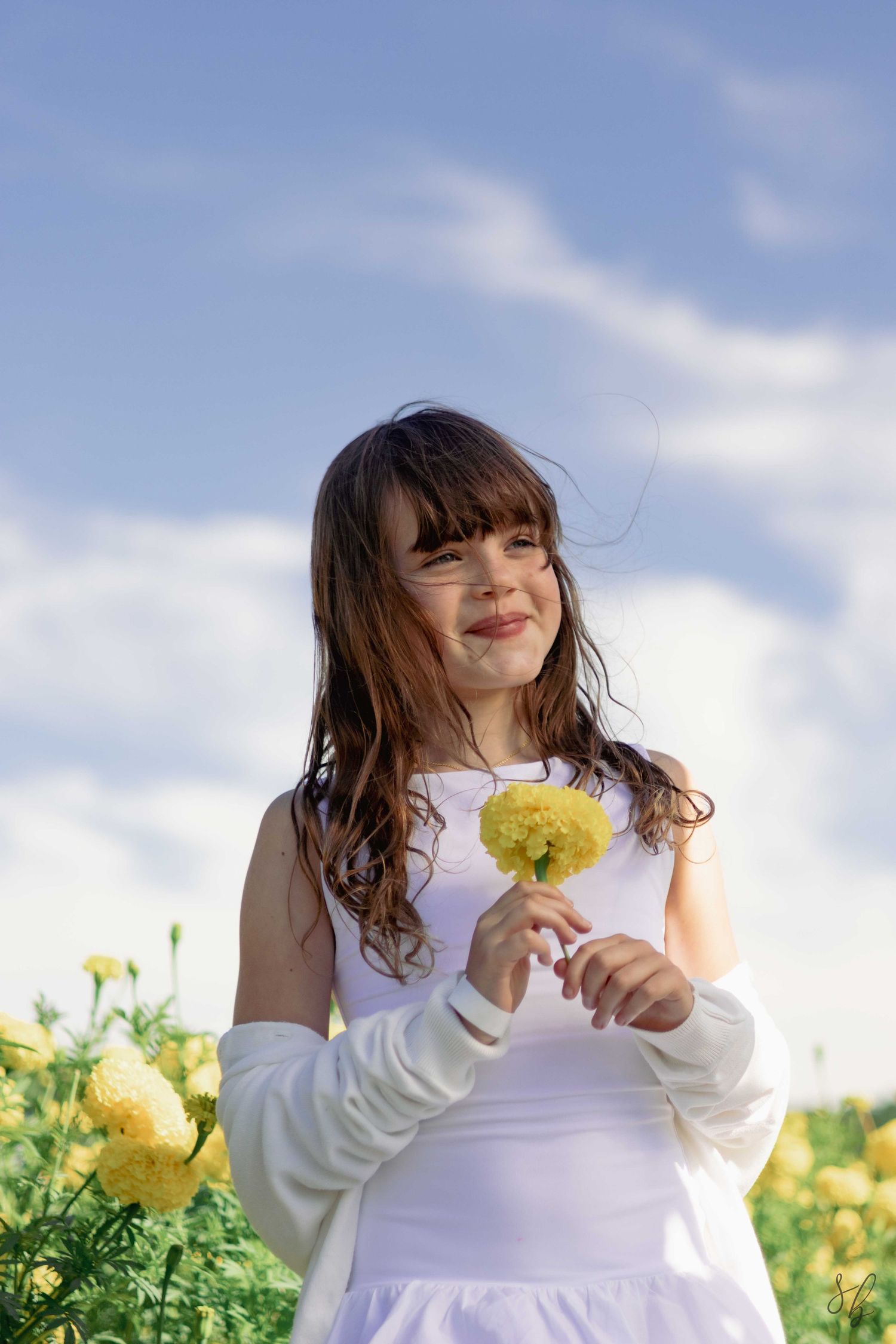 Andover children photographer capturing a natural outdoor portrait of a girl standing in a sunflower field with soft, golden light.