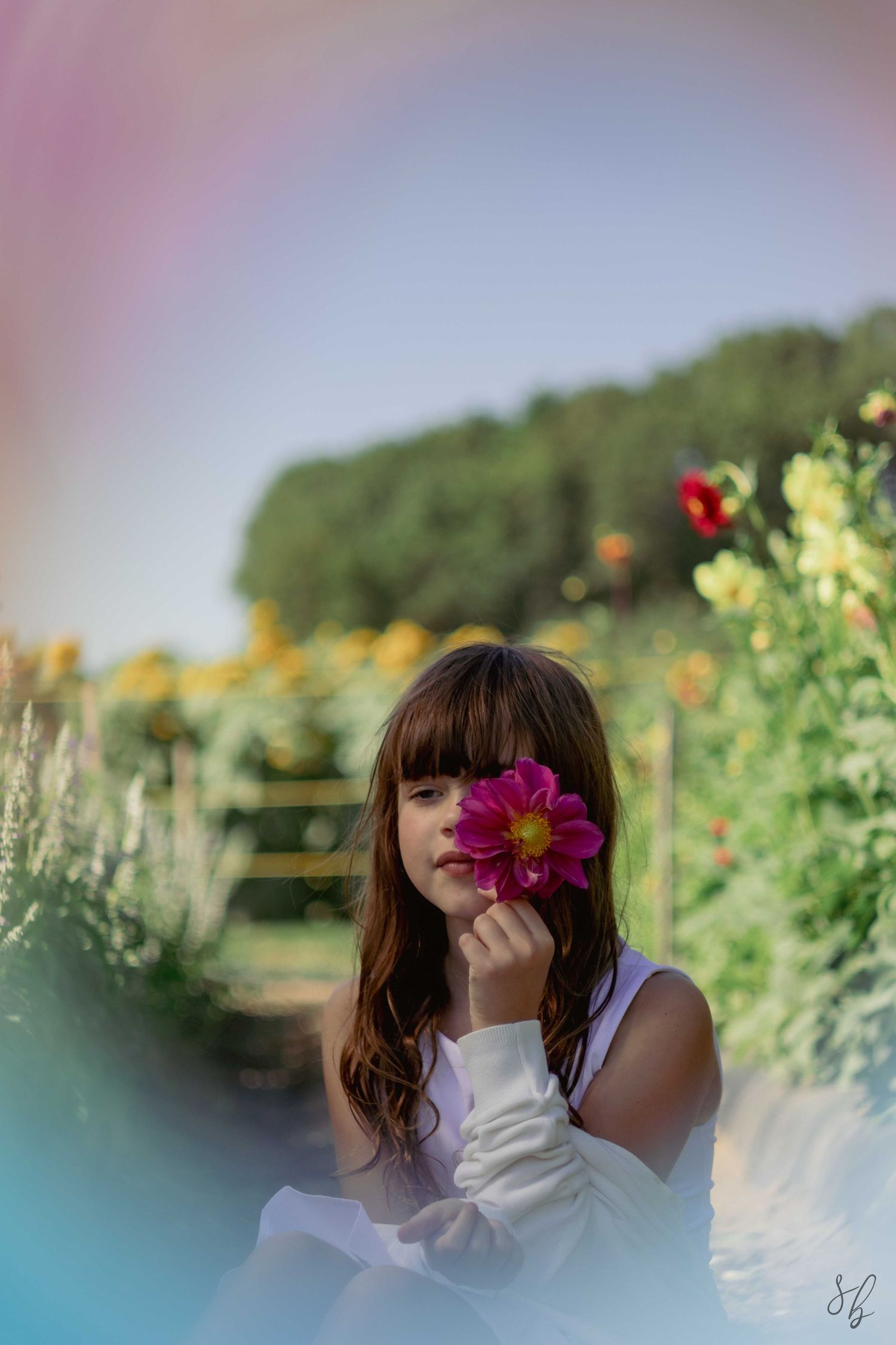 Andover children photographer capturing a natural outdoor portrait of a girl standing in a wildflower field with soft, golden light.