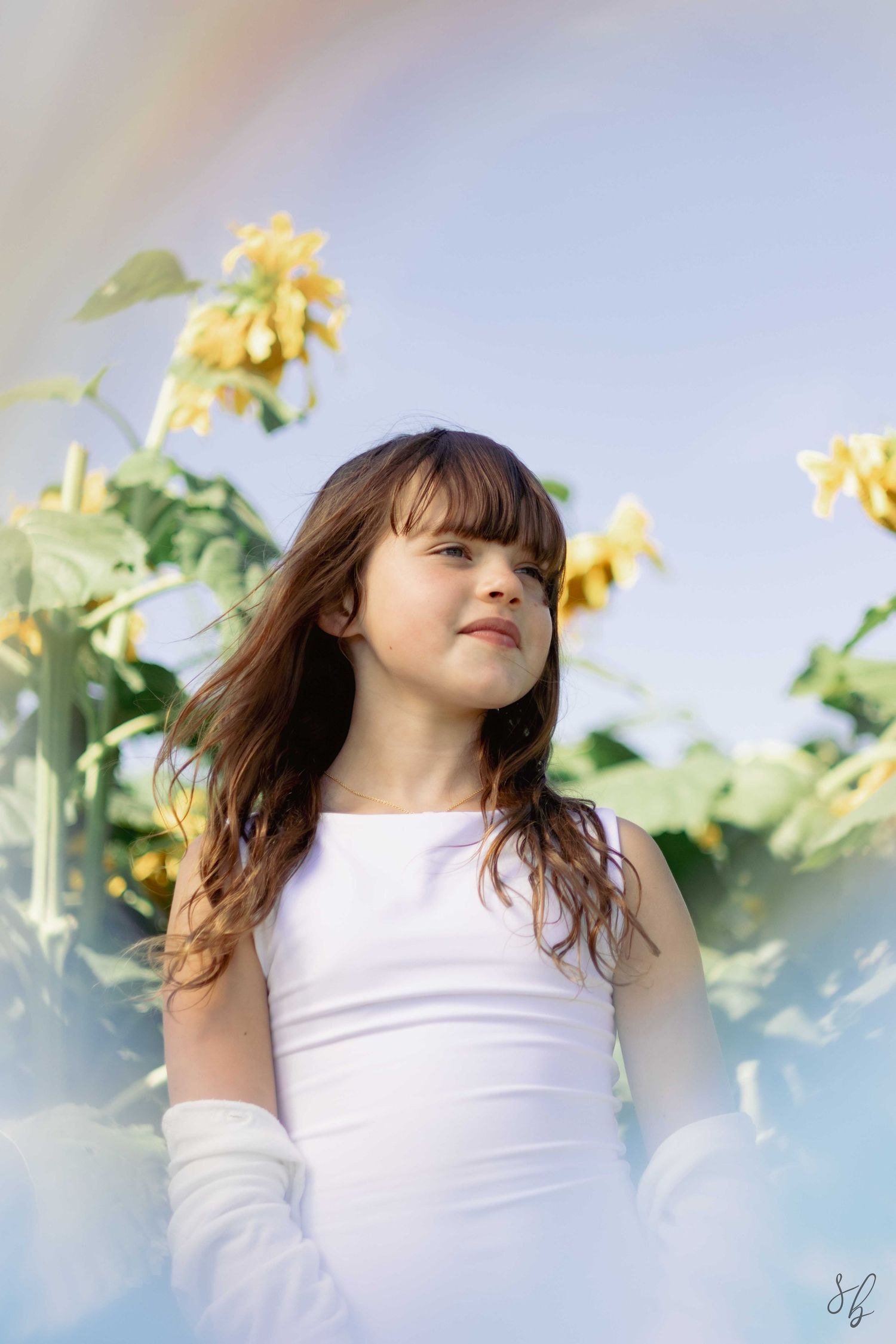 Andover children photographer capturing a natural outdoor portrait of a girl standing in a sunflower field with soft, golden light.