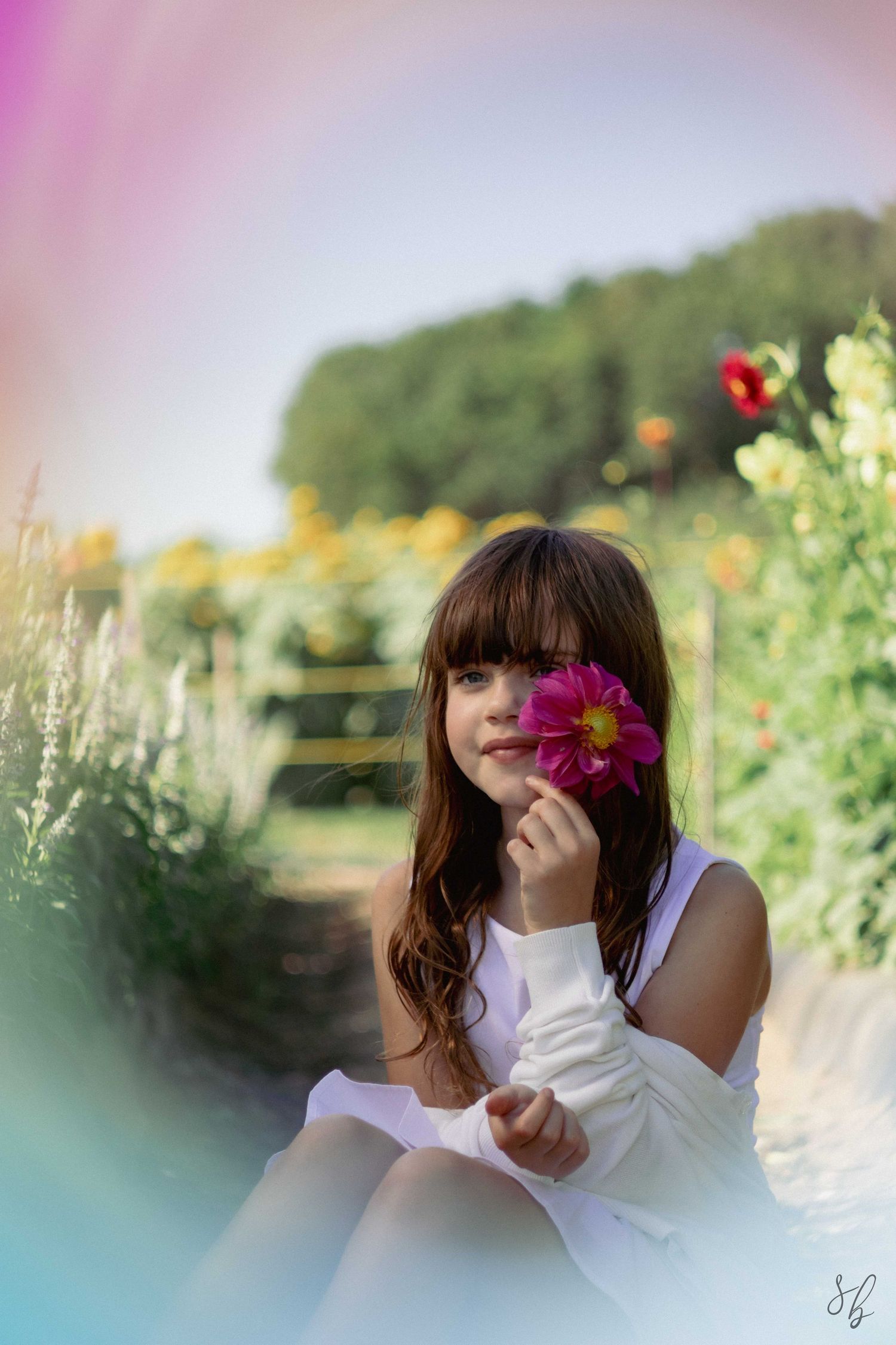 Girl holding a magenta flower during an outdoor kids portrait session in a colorful flower field, with soft natural light.